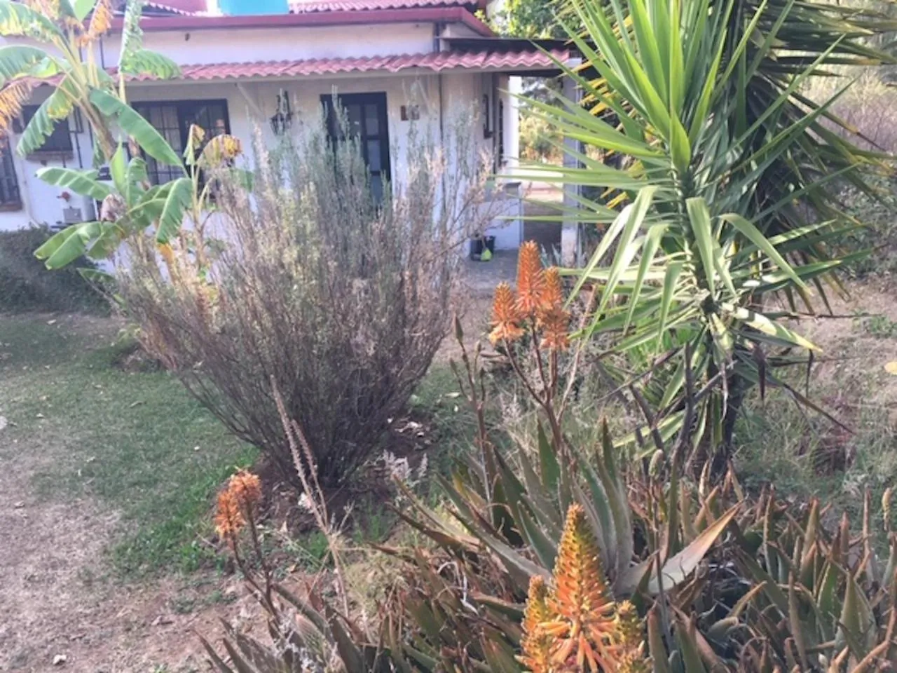 Facade/entrance in El Rincón de San Agustín Etla