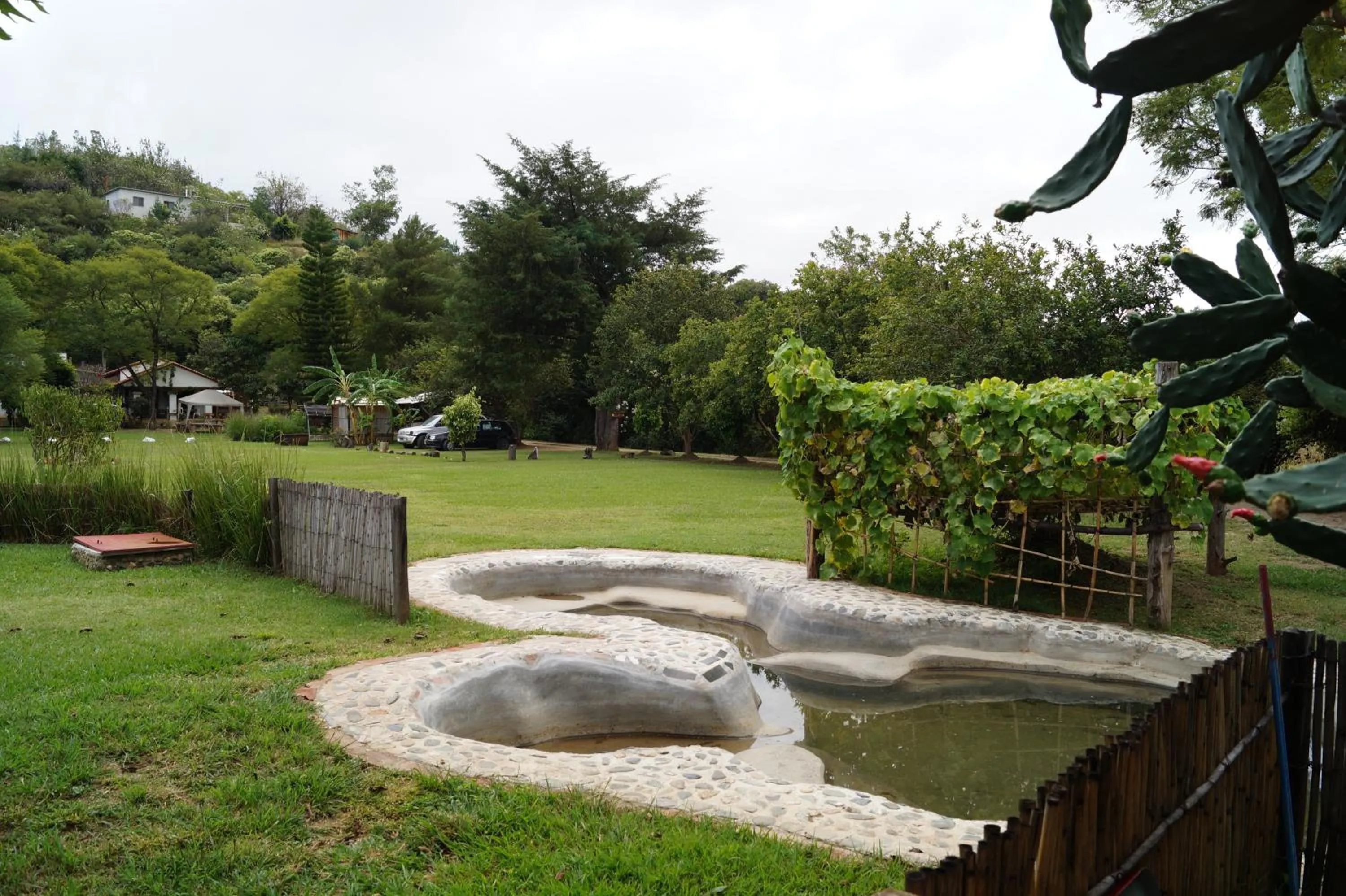 Garden in El Rincón de San Agustín Etla