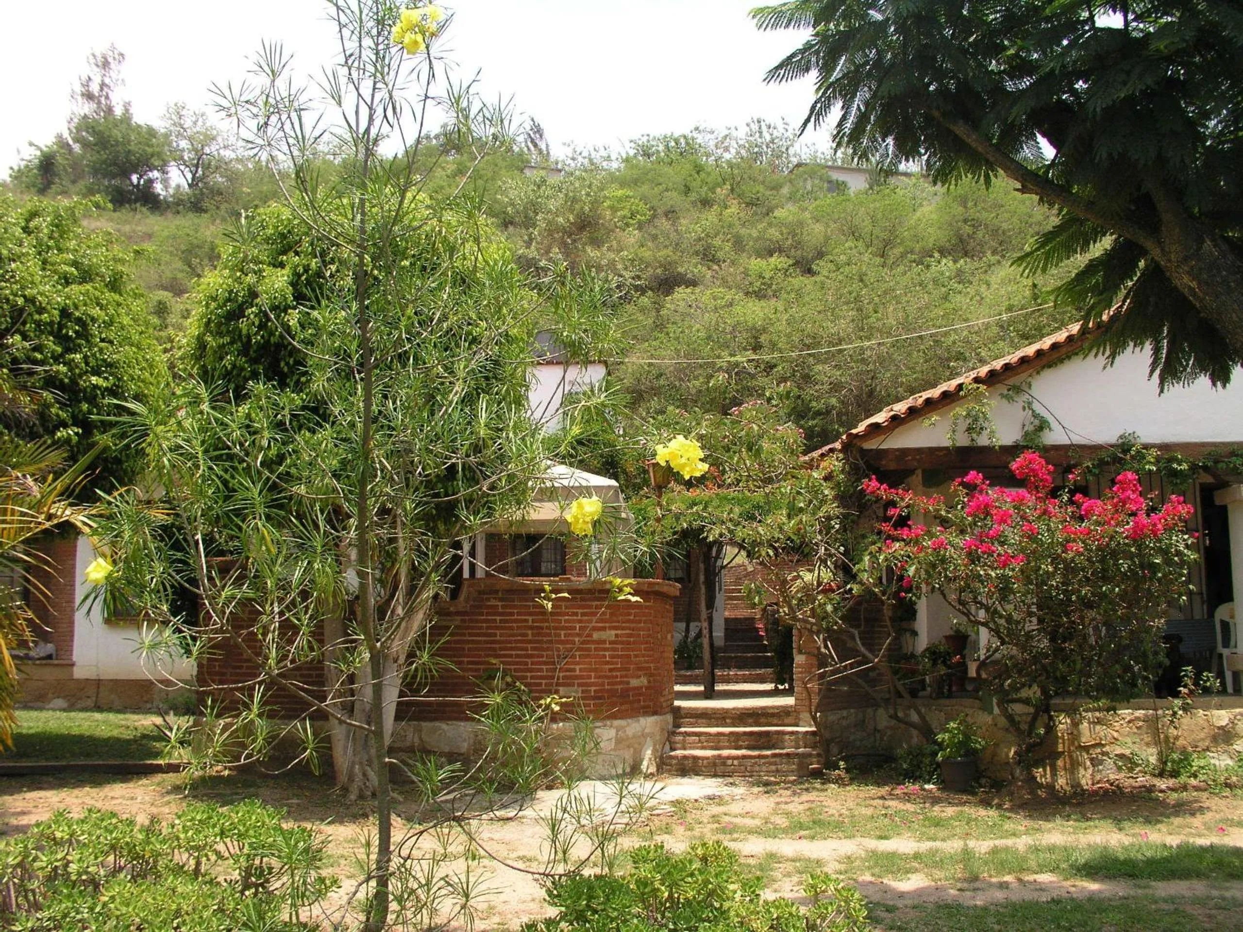 Decorative detail in El Rincón de San Agustín Etla