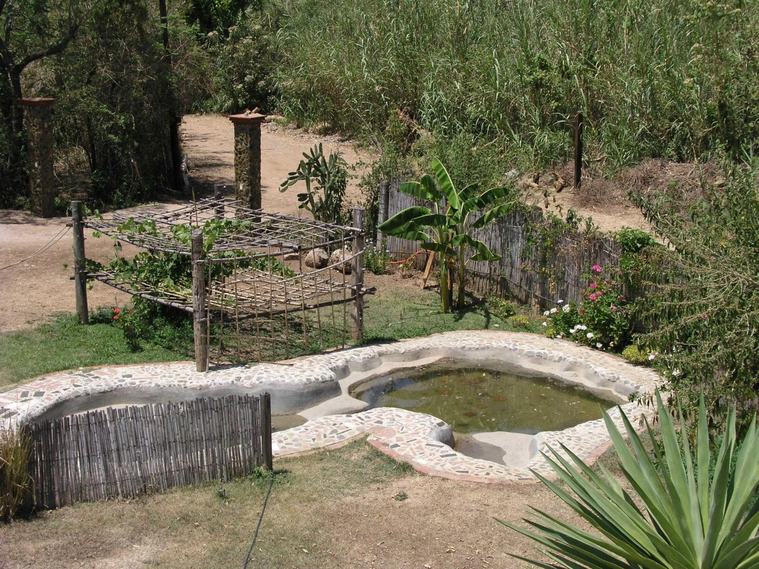 Garden in El Rincón de San Agustín Etla