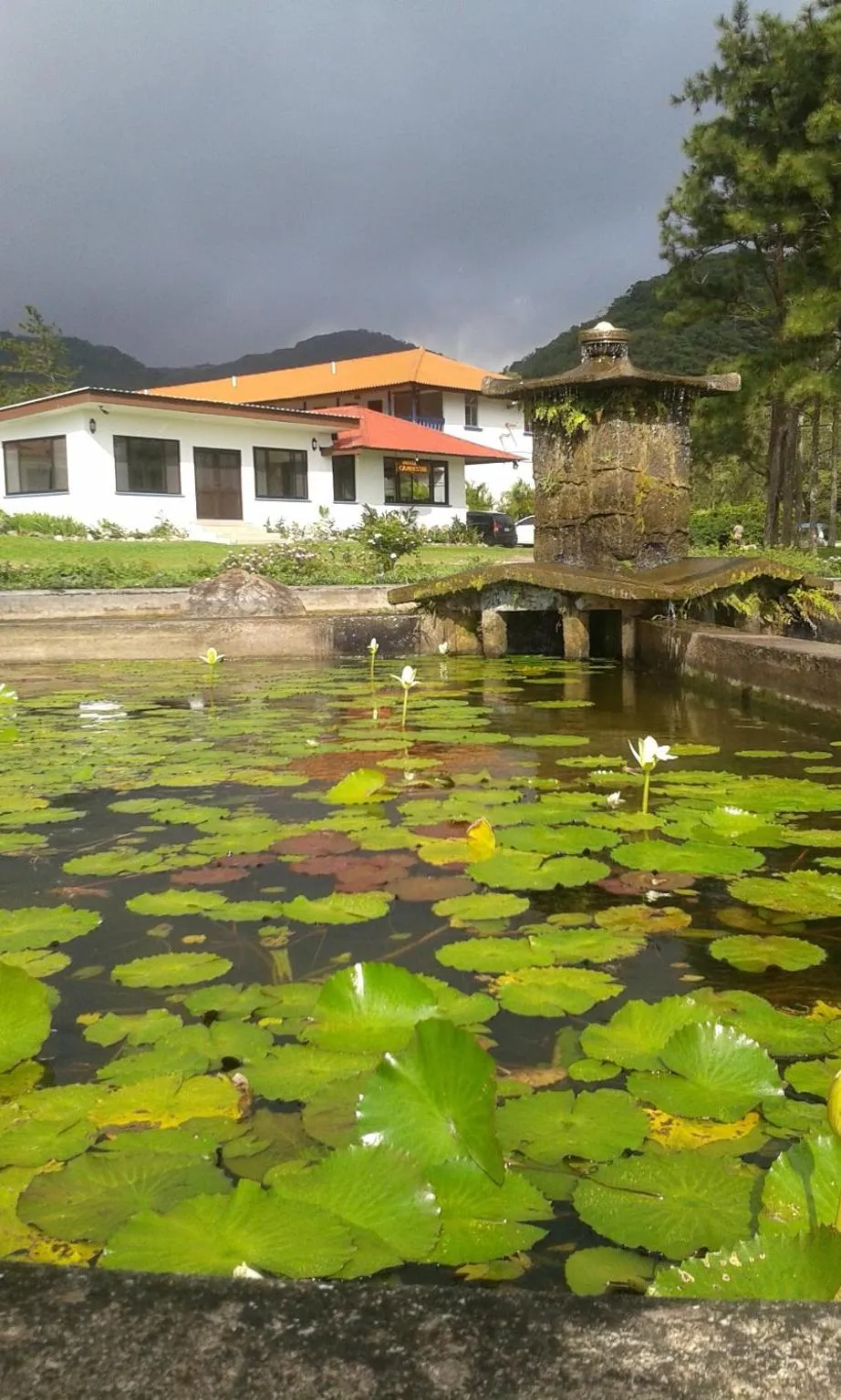 Lobby or reception in Hotel Campestre