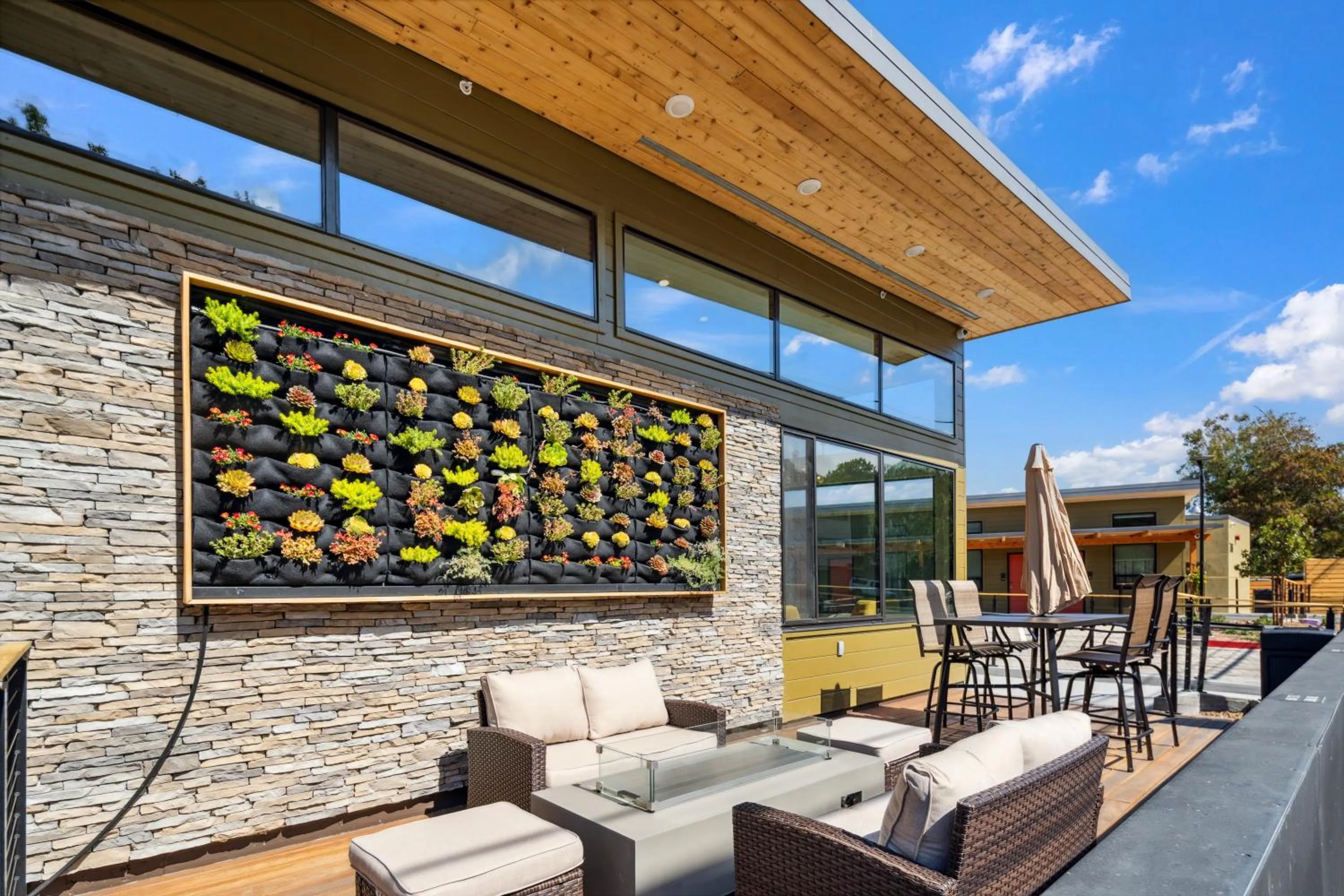 Darts in The Evergreen