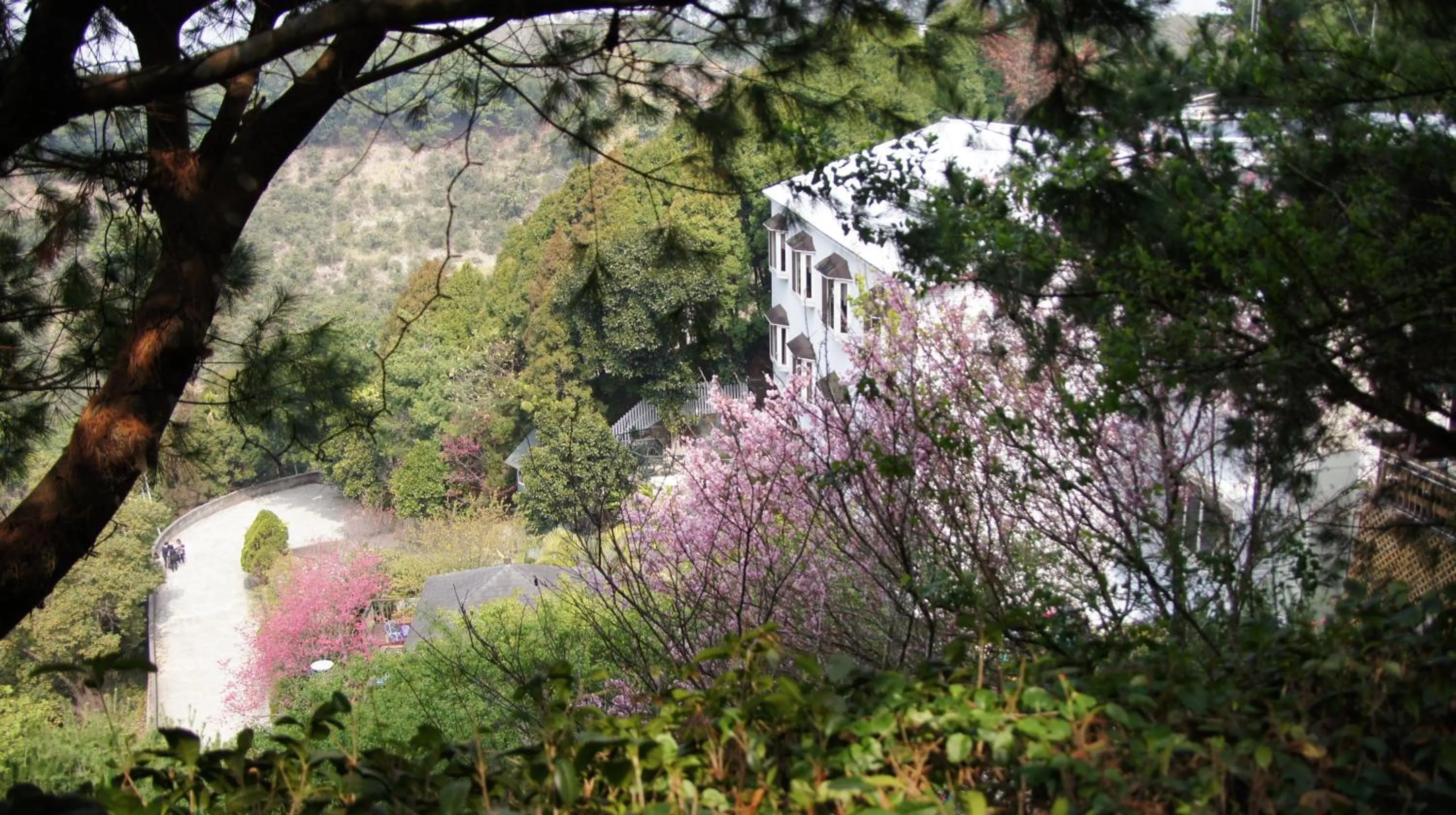 Meteor Garden B&B