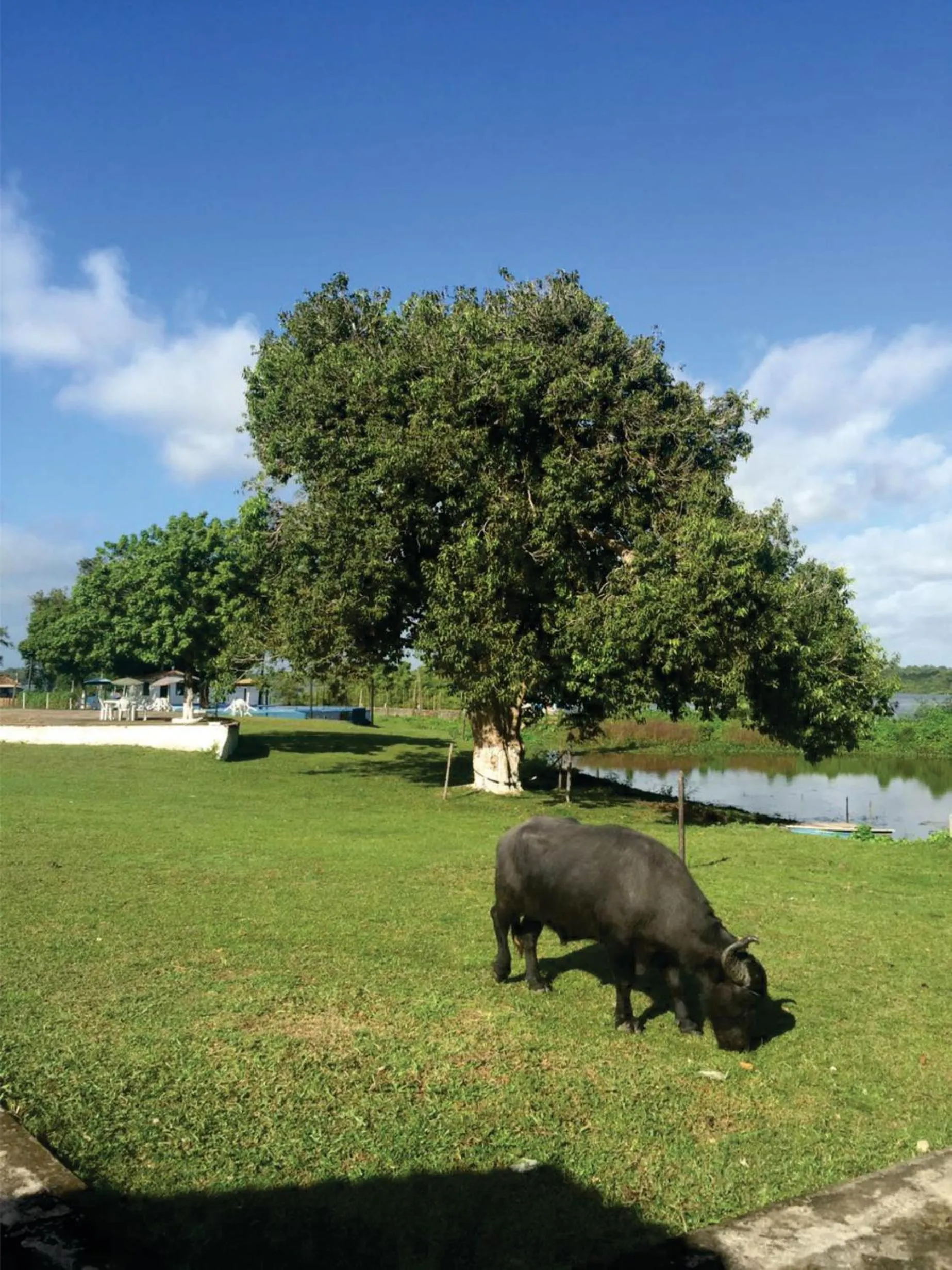 Day in Pousada Marajoara- Hotel Fazenda-Turismo de Aventura