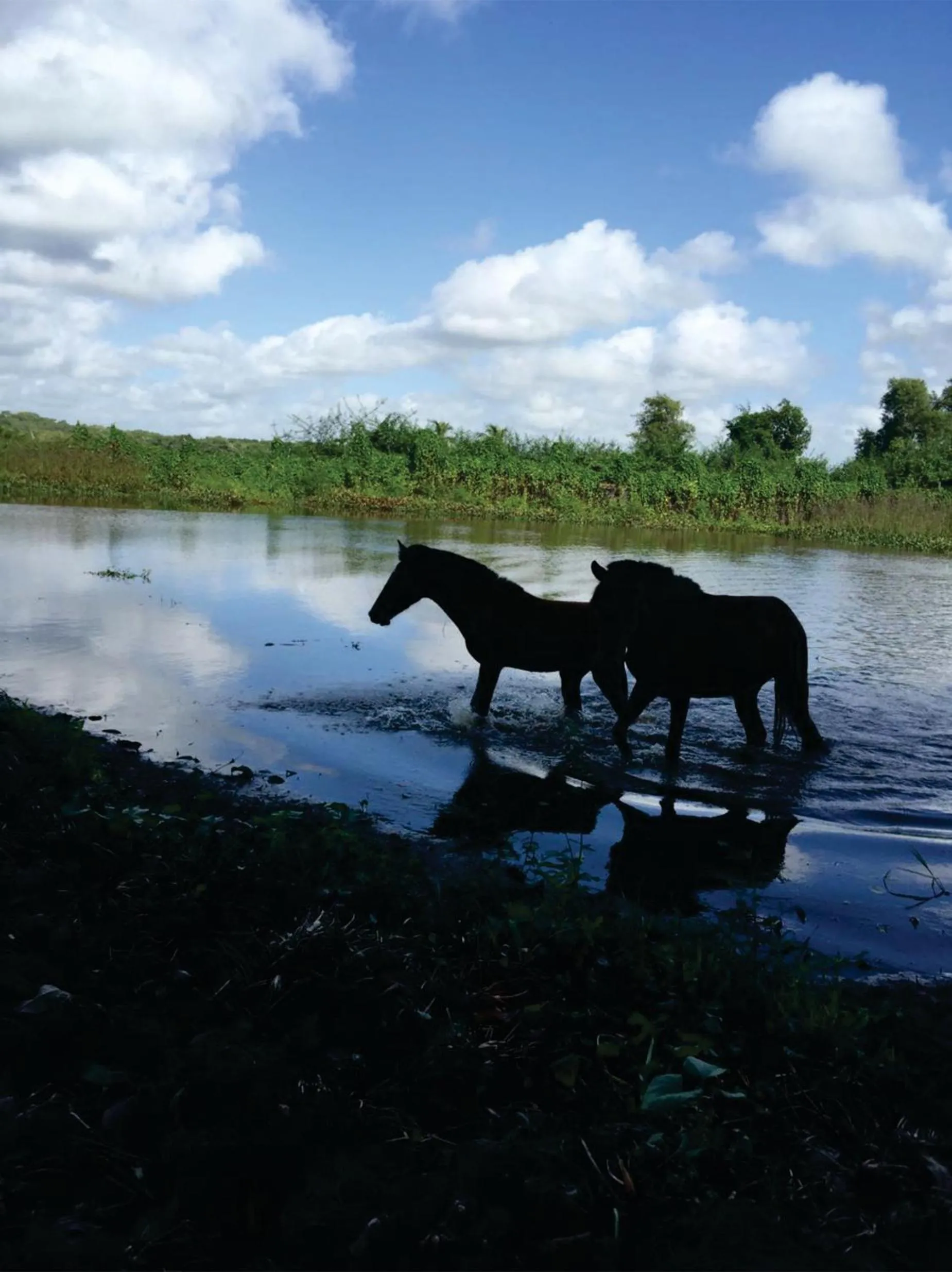 Day in Pousada Marajoara- Hotel Fazenda-Turismo de Aventura