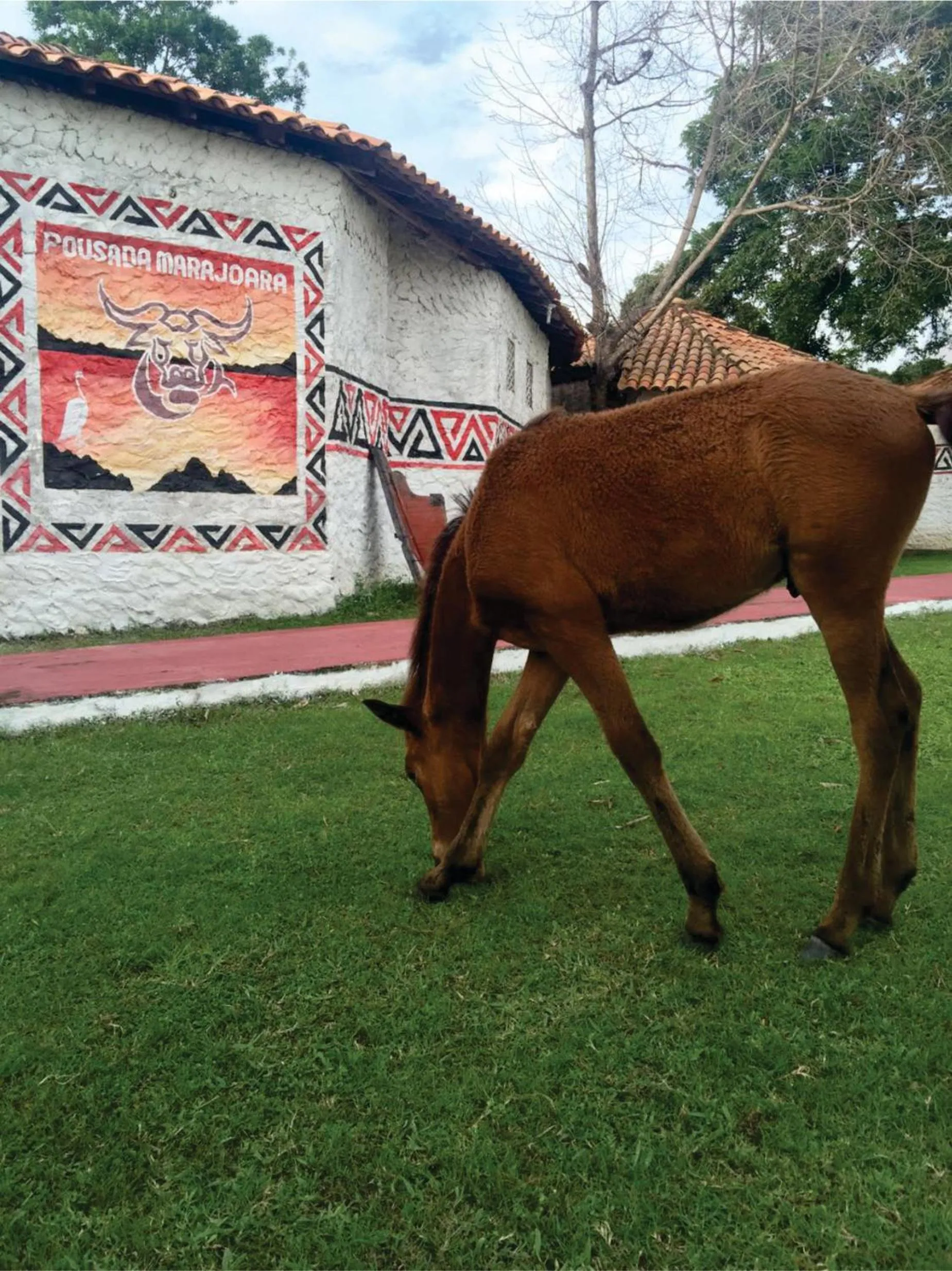 Day in Pousada Marajoara- Hotel Fazenda-Turismo de Aventura