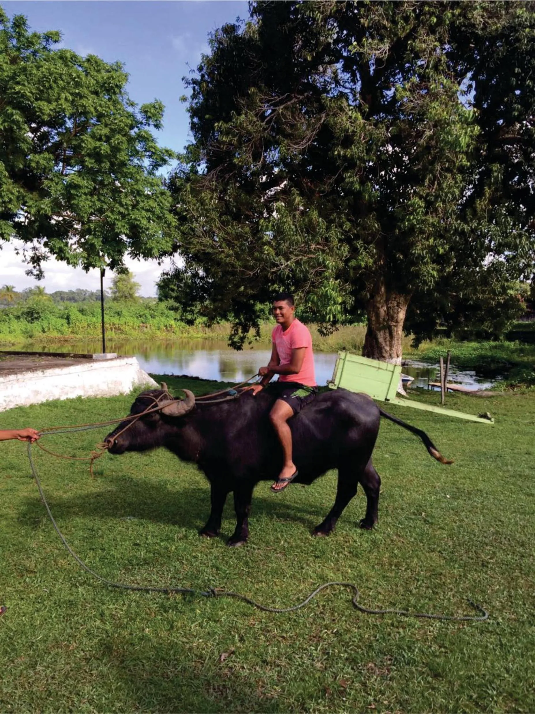 Day in Pousada Marajoara- Hotel Fazenda-Turismo de Aventura