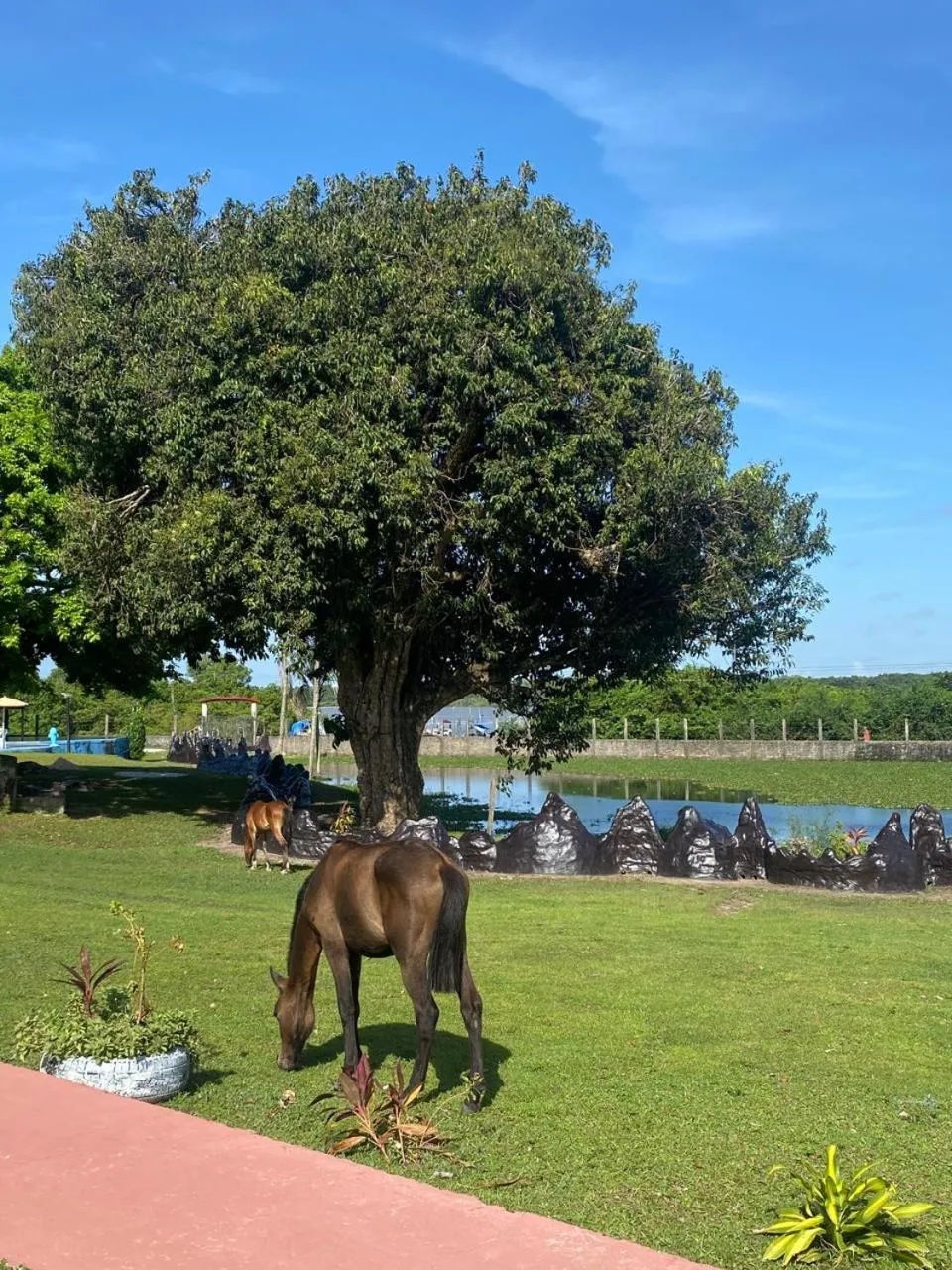 Pousada Marajoara- Hotel Fazenda-Turismo de Aventura