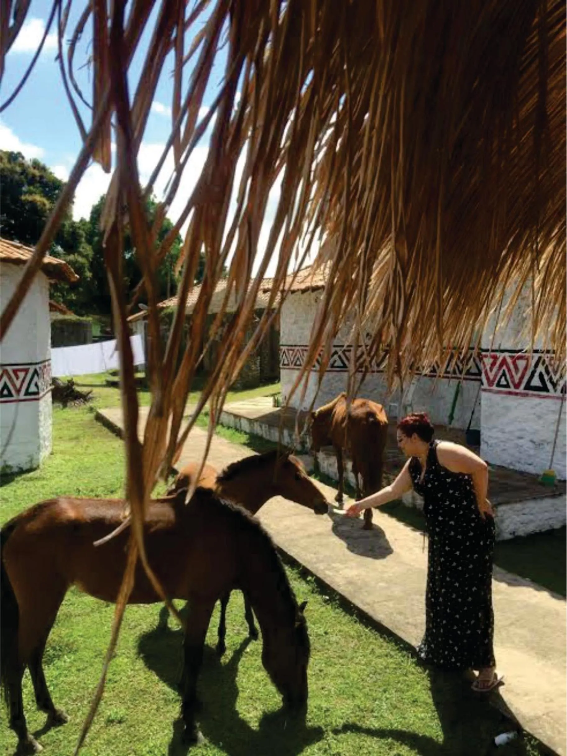 Day in Pousada Marajoara- Hotel Fazenda-Turismo de Aventura