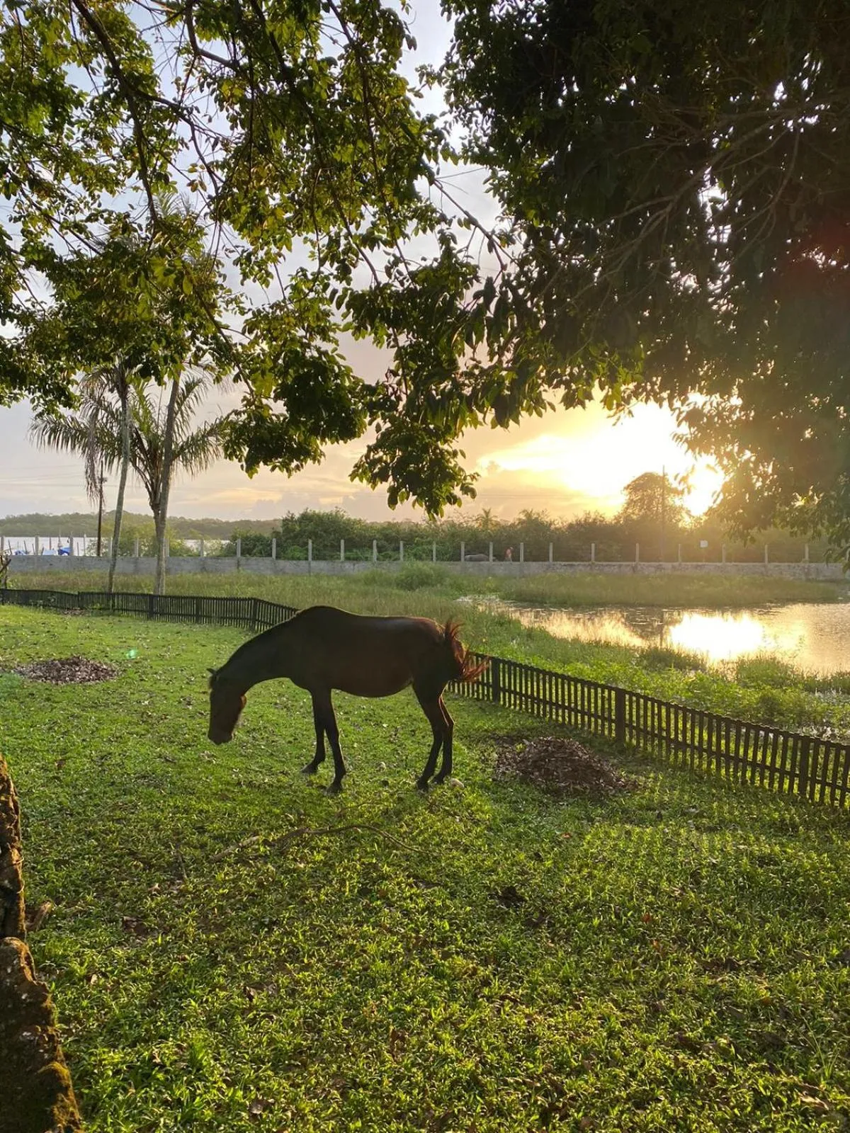 Pousada Marajoara- Hotel Fazenda-Turismo de Aventura
