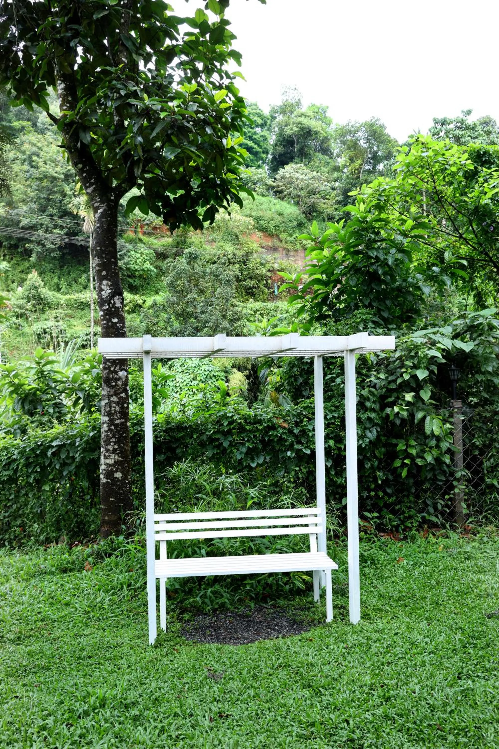 Day in Bay View Suites, Vythiri, Wayanad