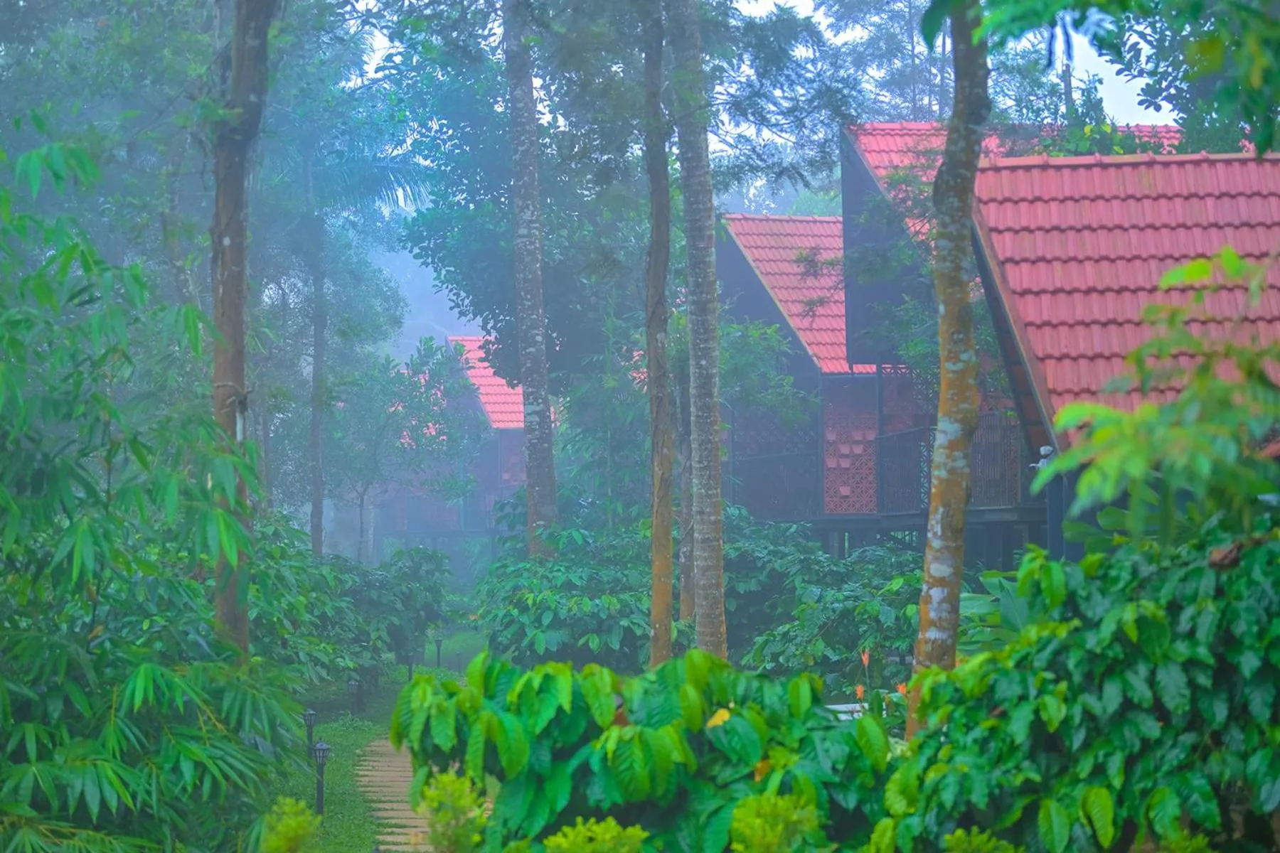 Other in Bay View Suites, Vythiri, Wayanad