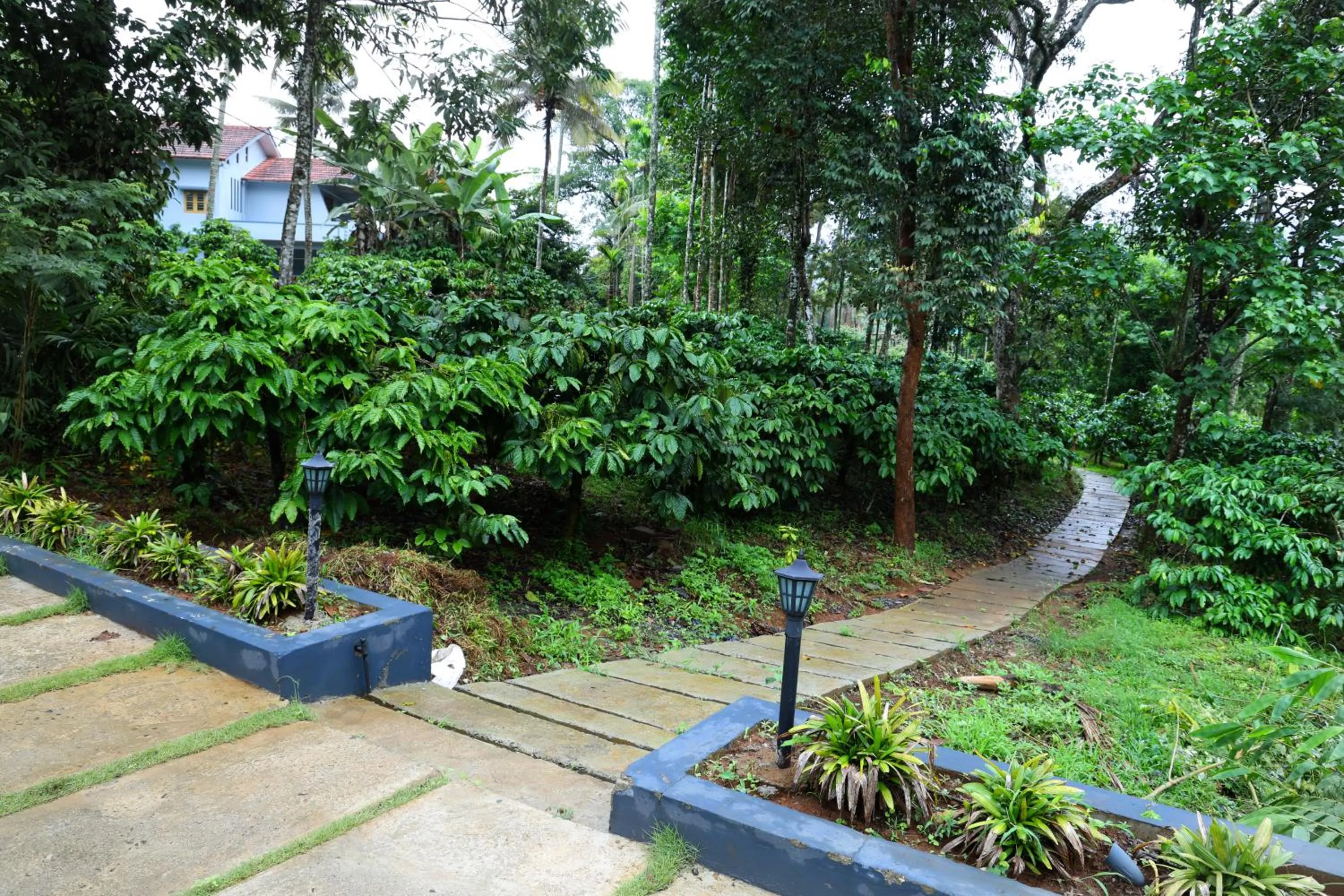 Natural landscape in Bay View Suites, Vythiri, Wayanad