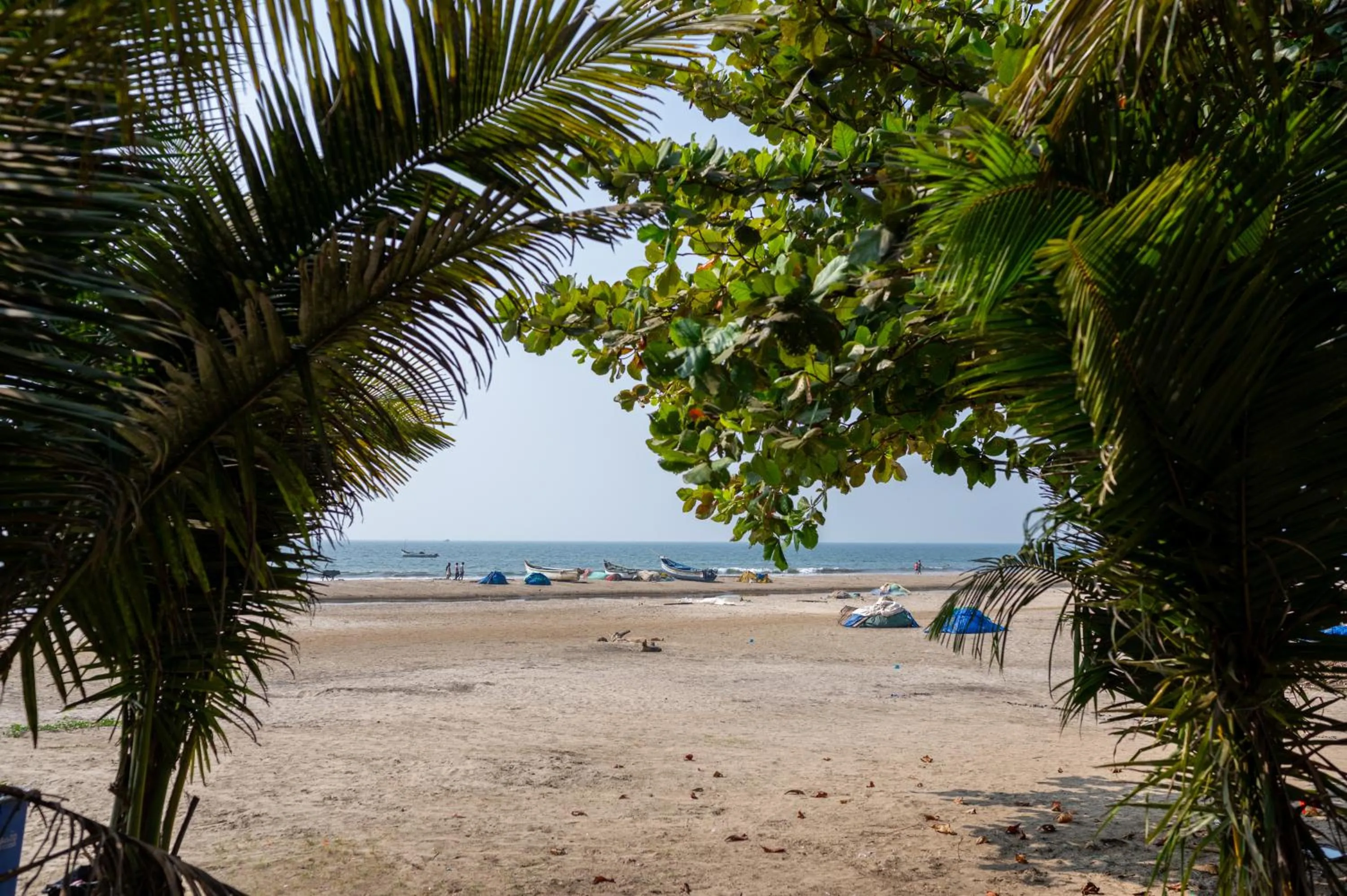 Foxoso La Beach Resort & Spa