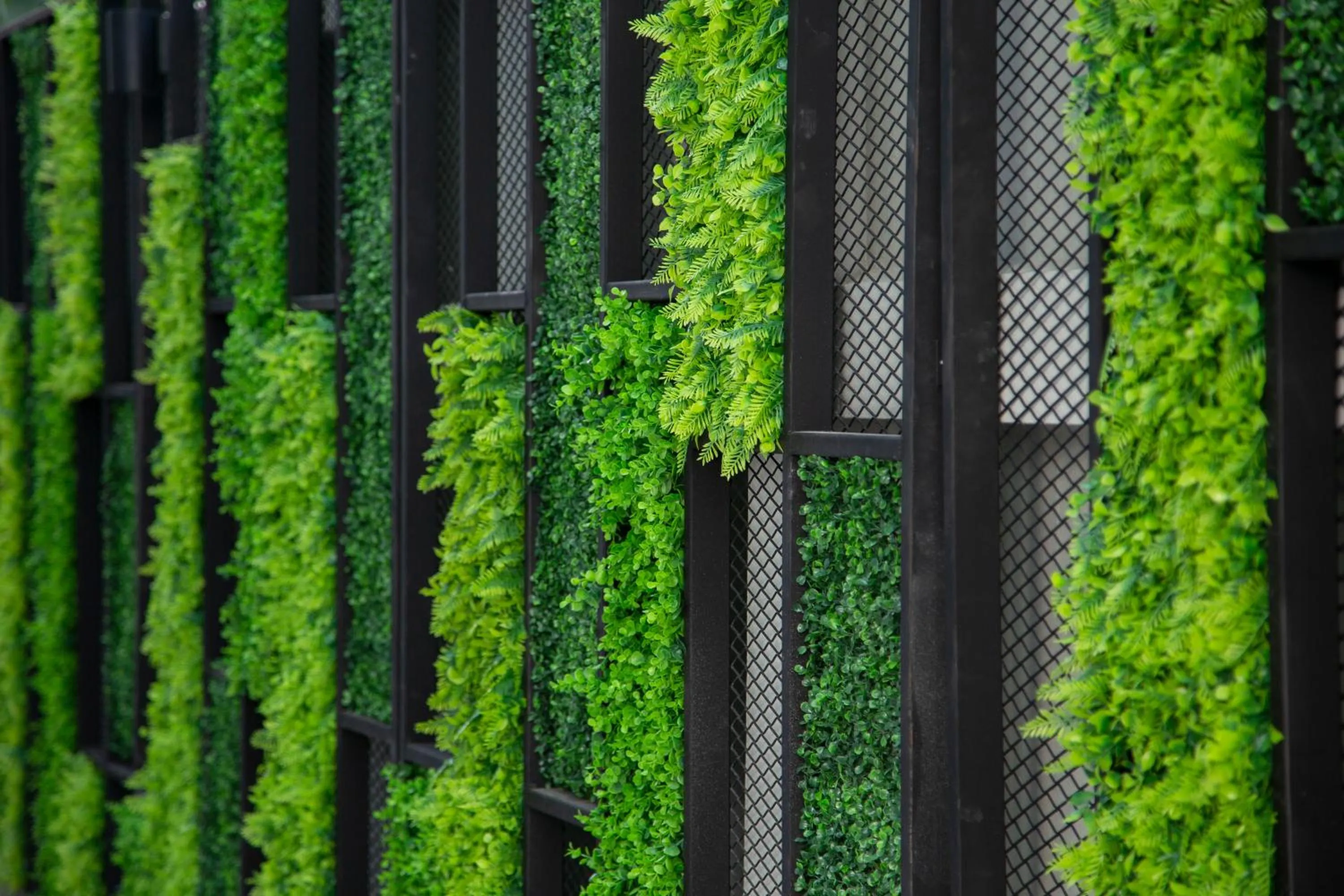 Garden view in Parrish Serviced Apartment