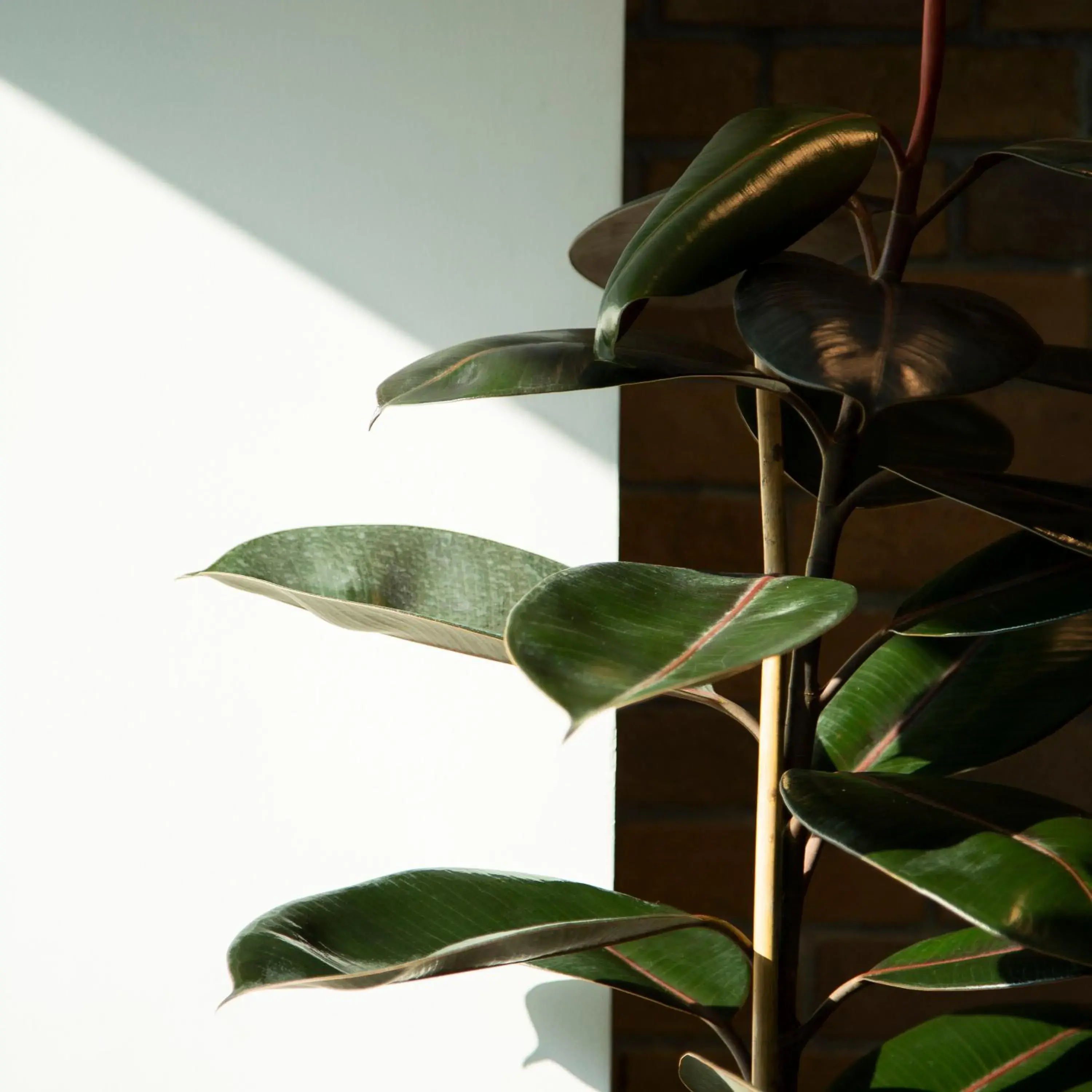 Lobby or reception in Parrish Serviced Apartment Lobby or reception in Parrish Serviced Apartment