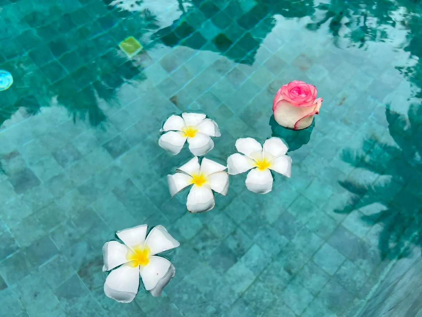 Swimming pool in Chill Lay Resort Donsak