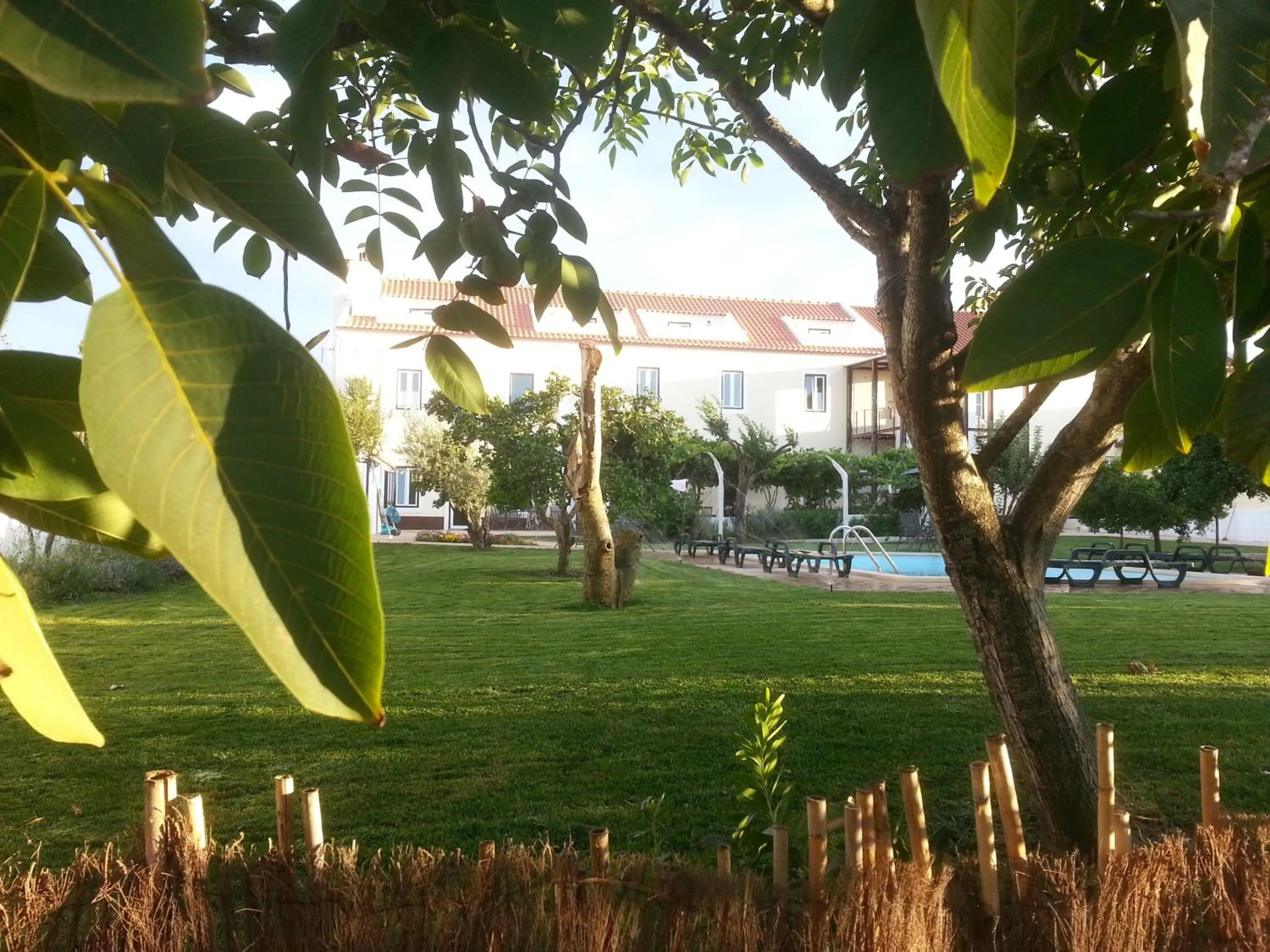 Spring in Casas da Moagem