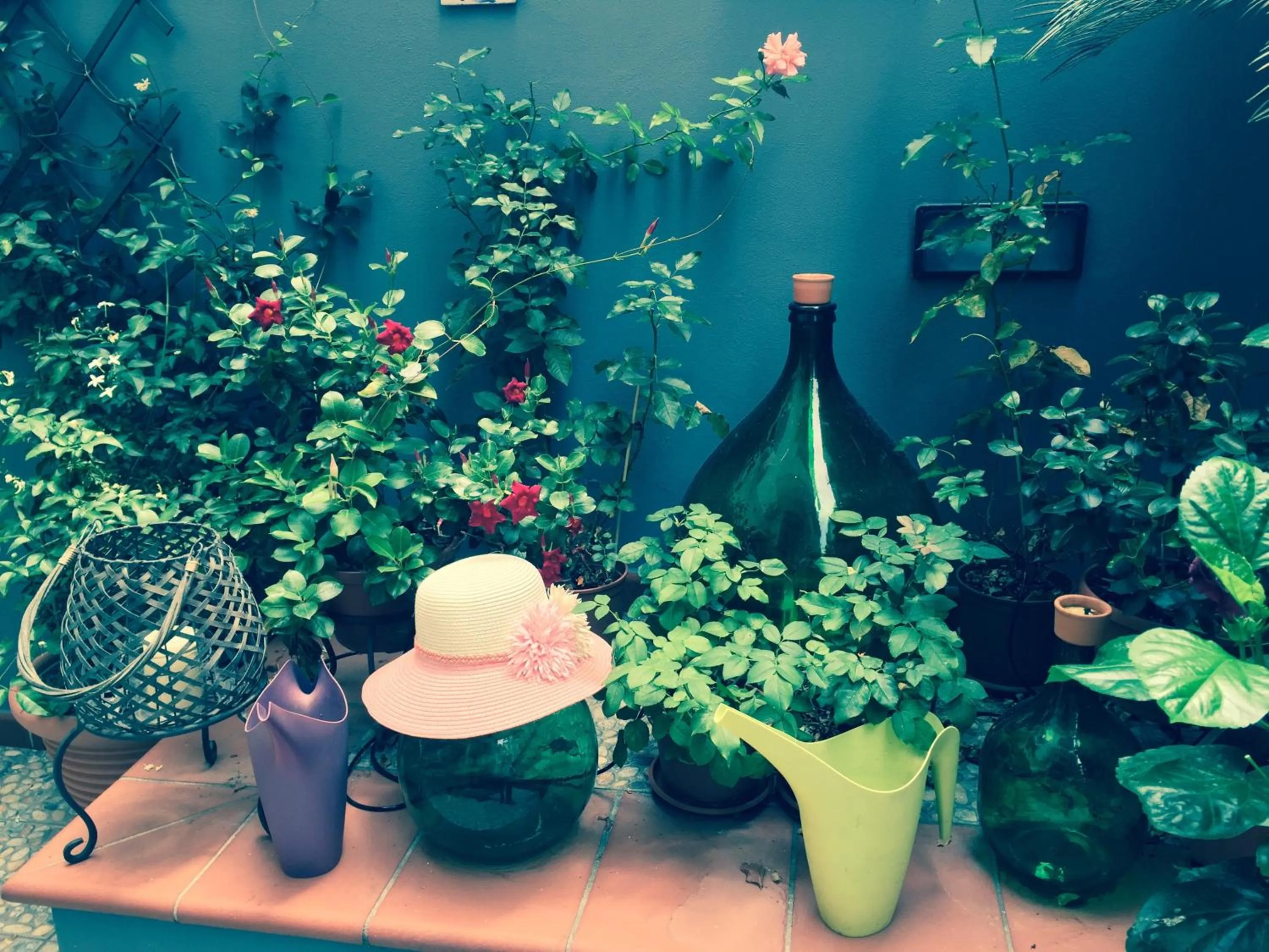 Garden in B&B Civico Cinque