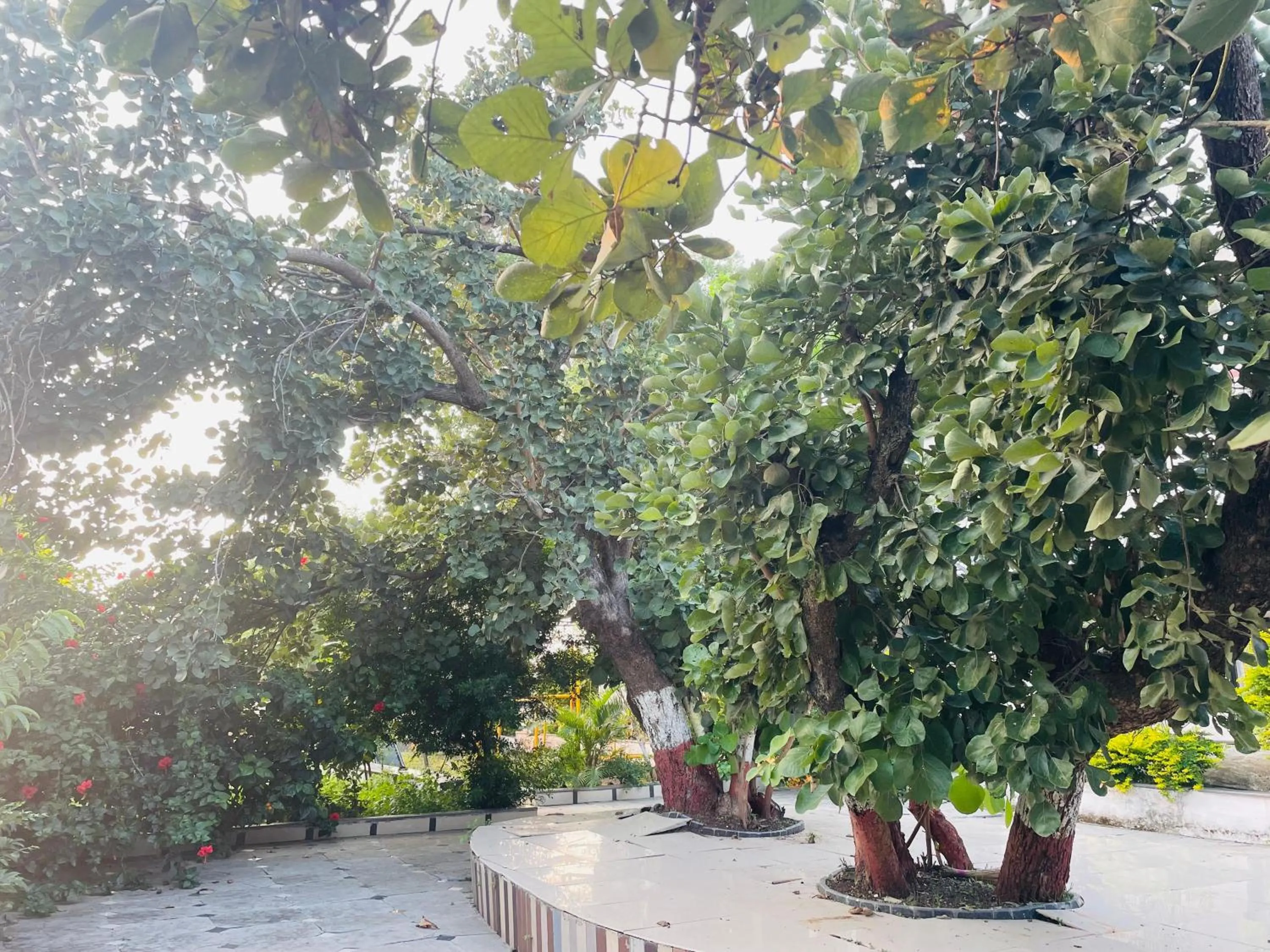 Spring in Viceroy Resort