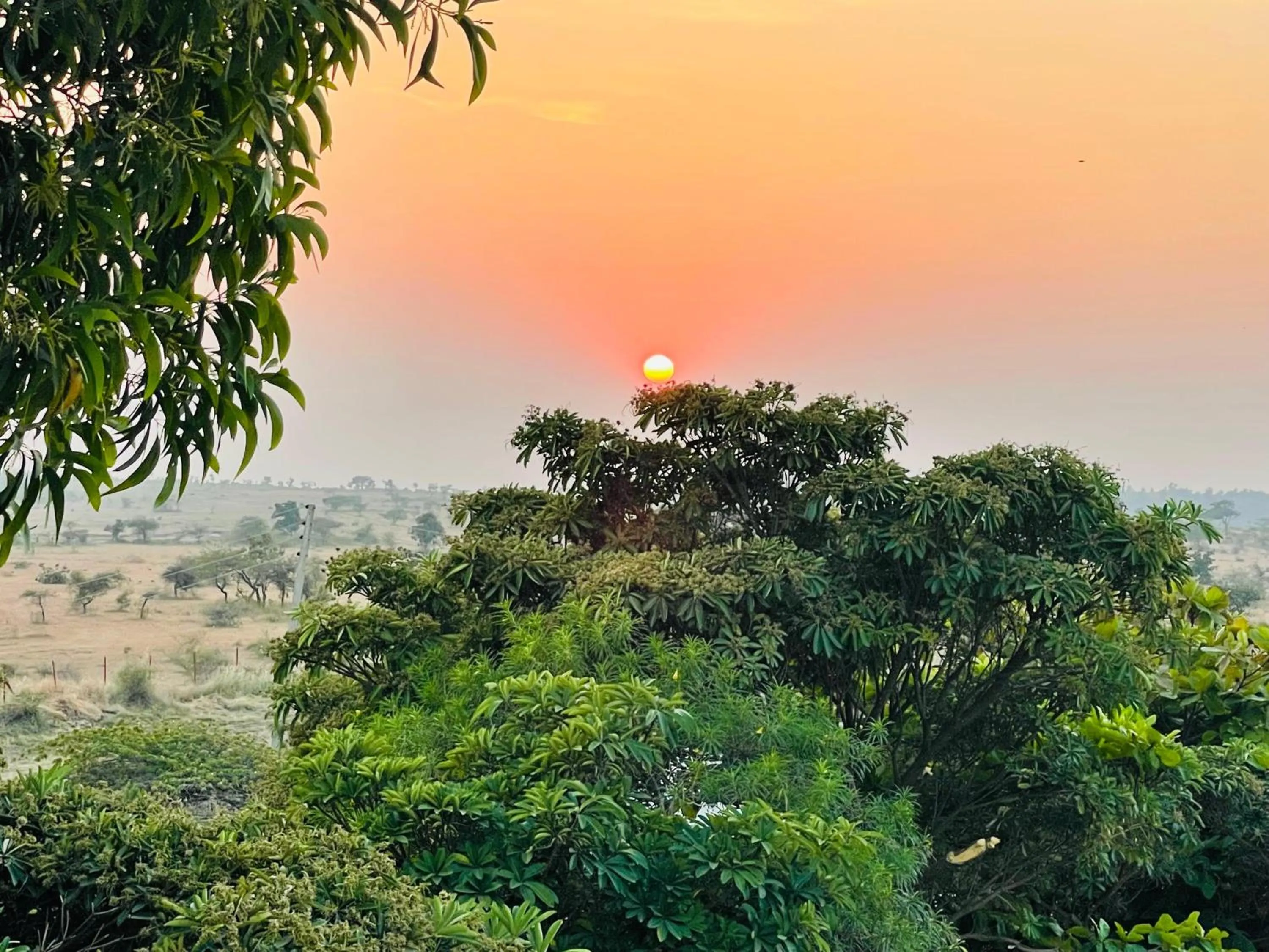 Day in Viceroy Resort