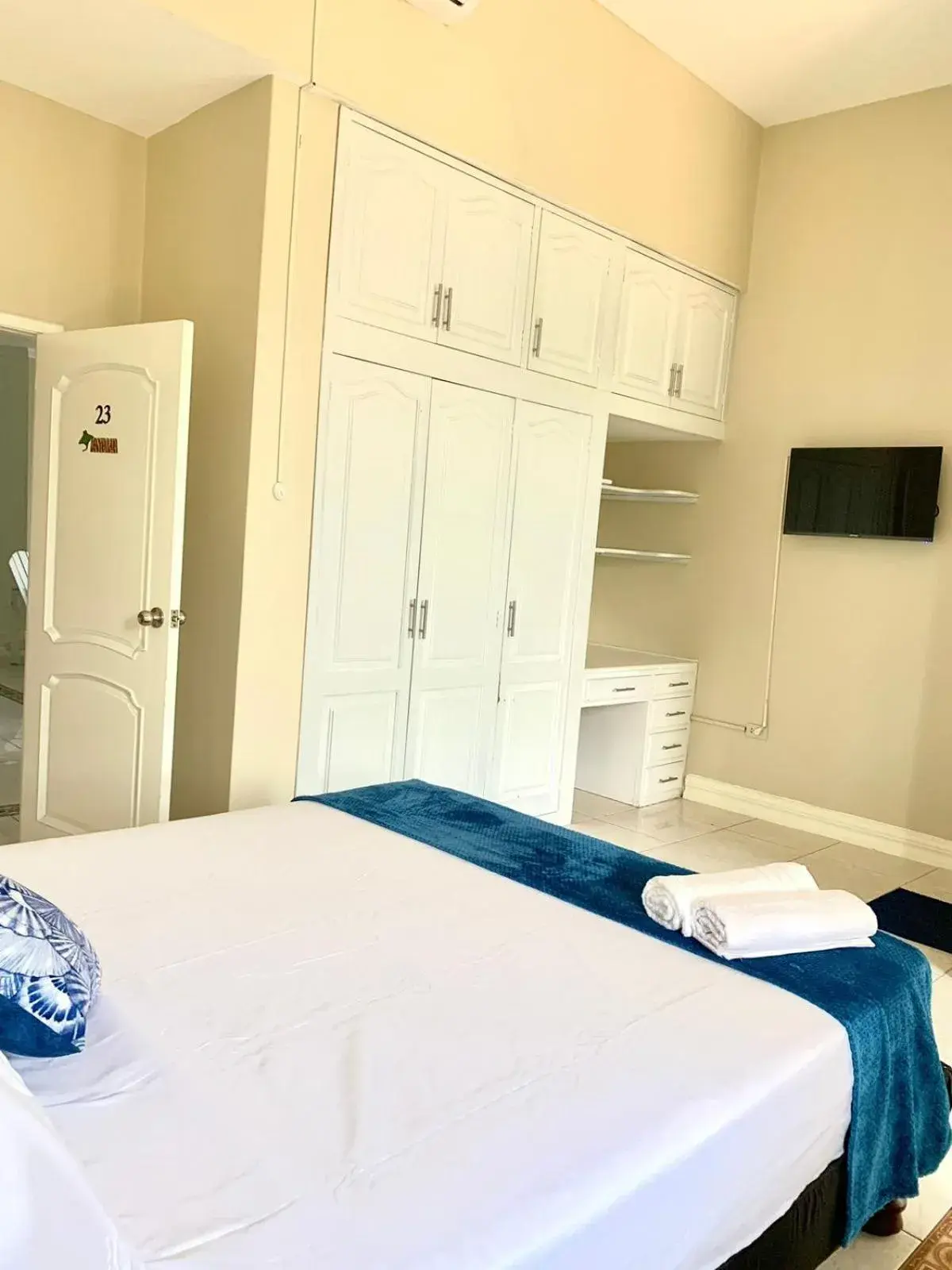 Reef Manta Reef Manta