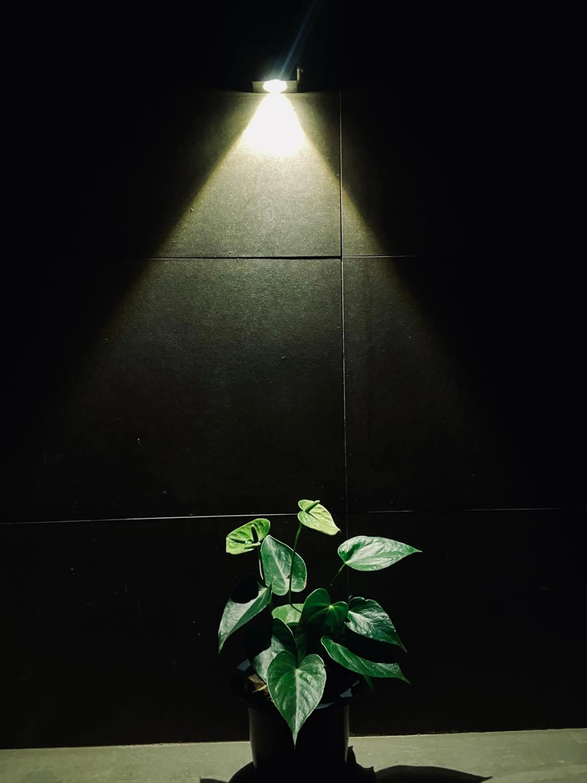 Hotel Kandyan View ''Free pickup from Kandy city''