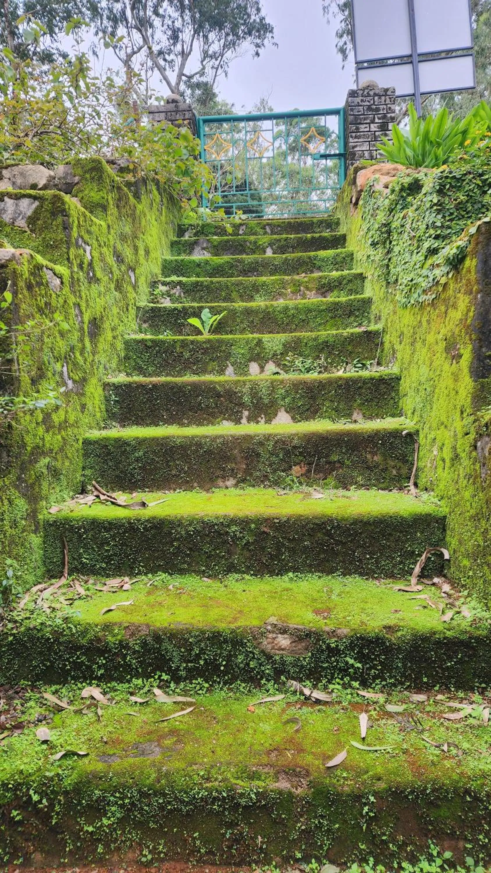 Ibex Resorts, Valparai Mistly