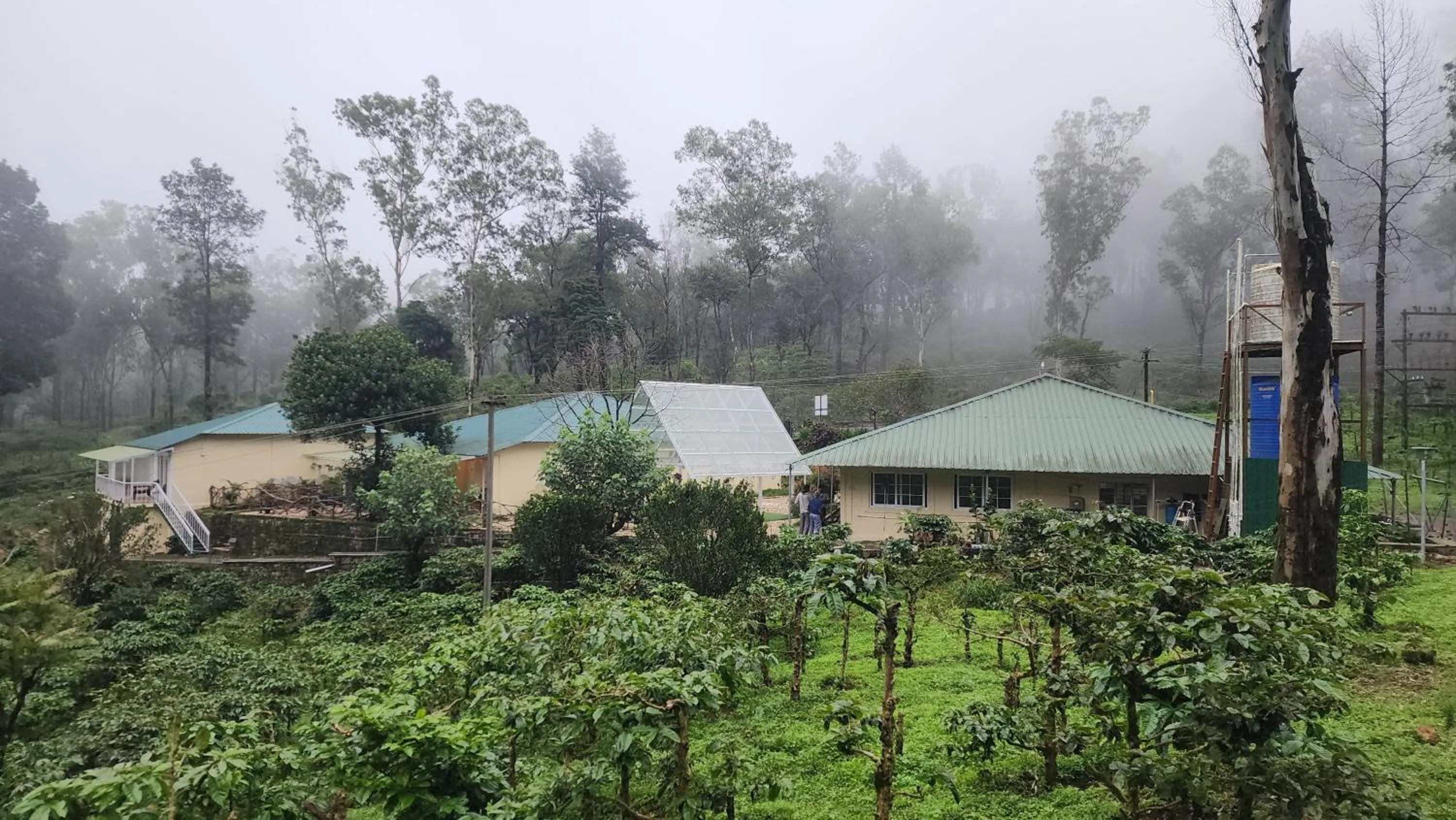 Property building in Ibex Resorts, Valparai Mistly