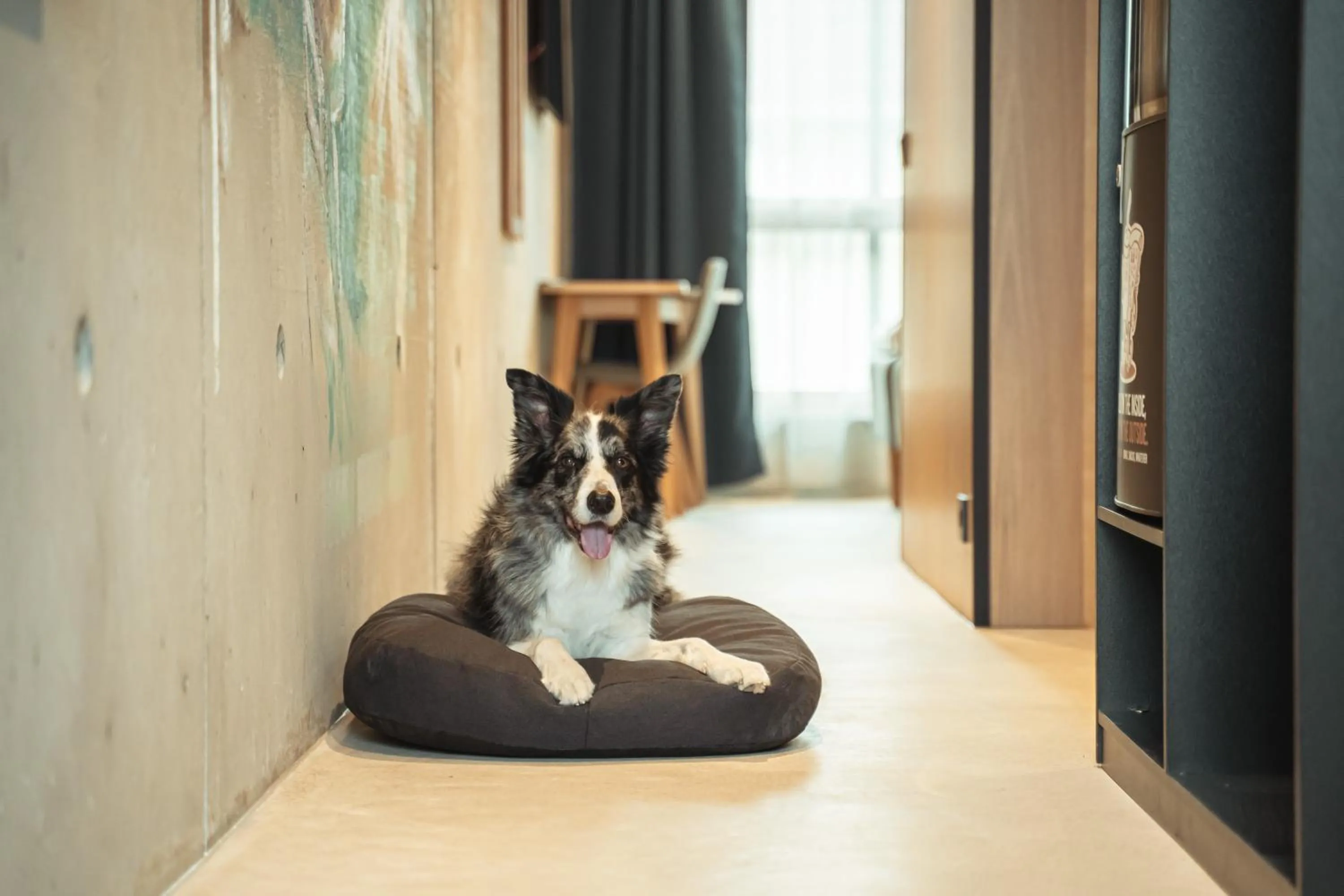 pet friendly in Time Hotel, Time To Stay art & boutique