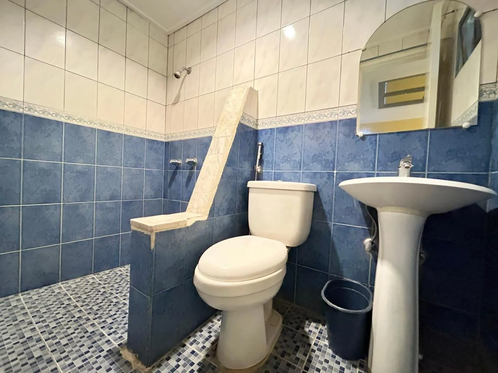 Shower in Town and Country Reposo