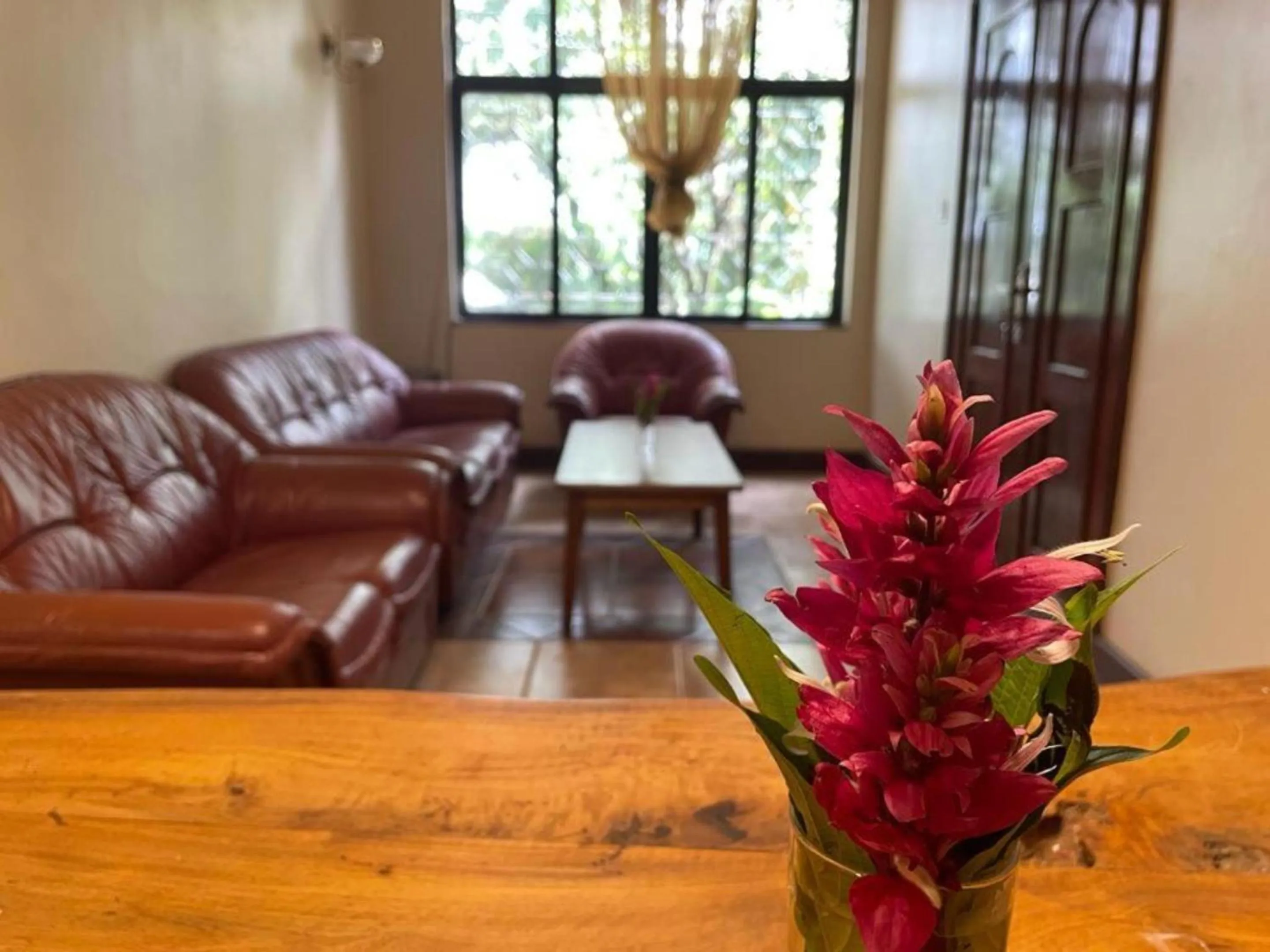 Living room in Olivia Guesthouse