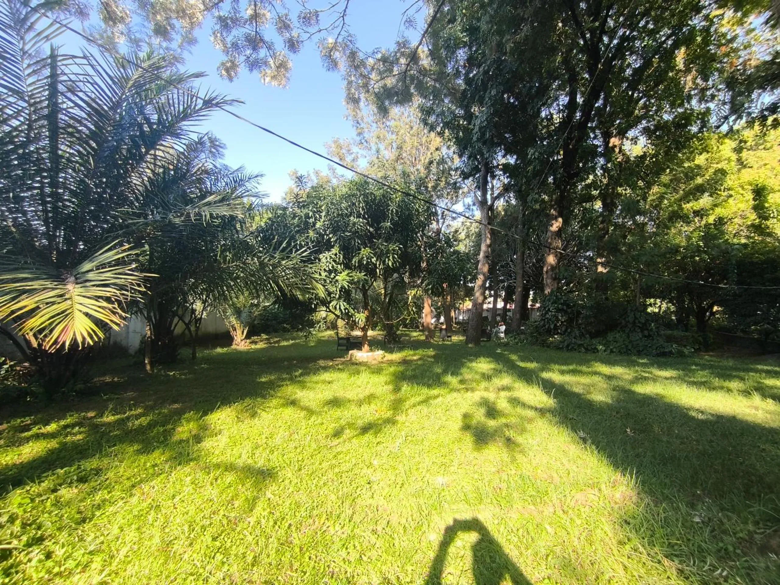 Garden view in Olivia Guesthouse