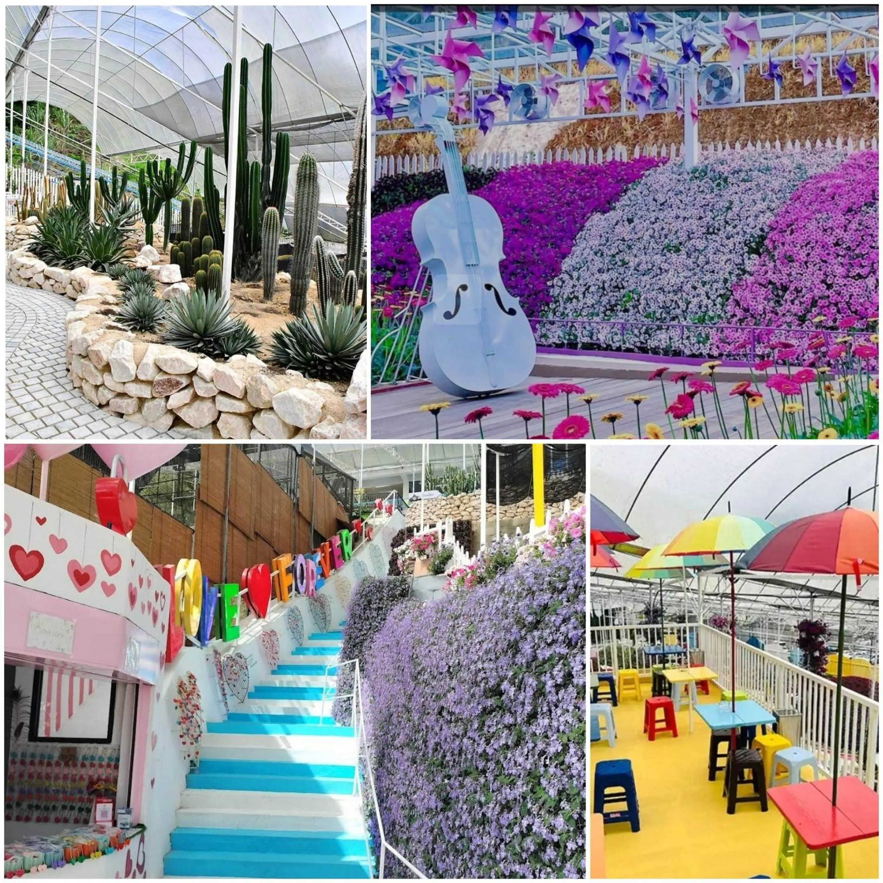 Nearby landmark in Keafarm Highland Breeze