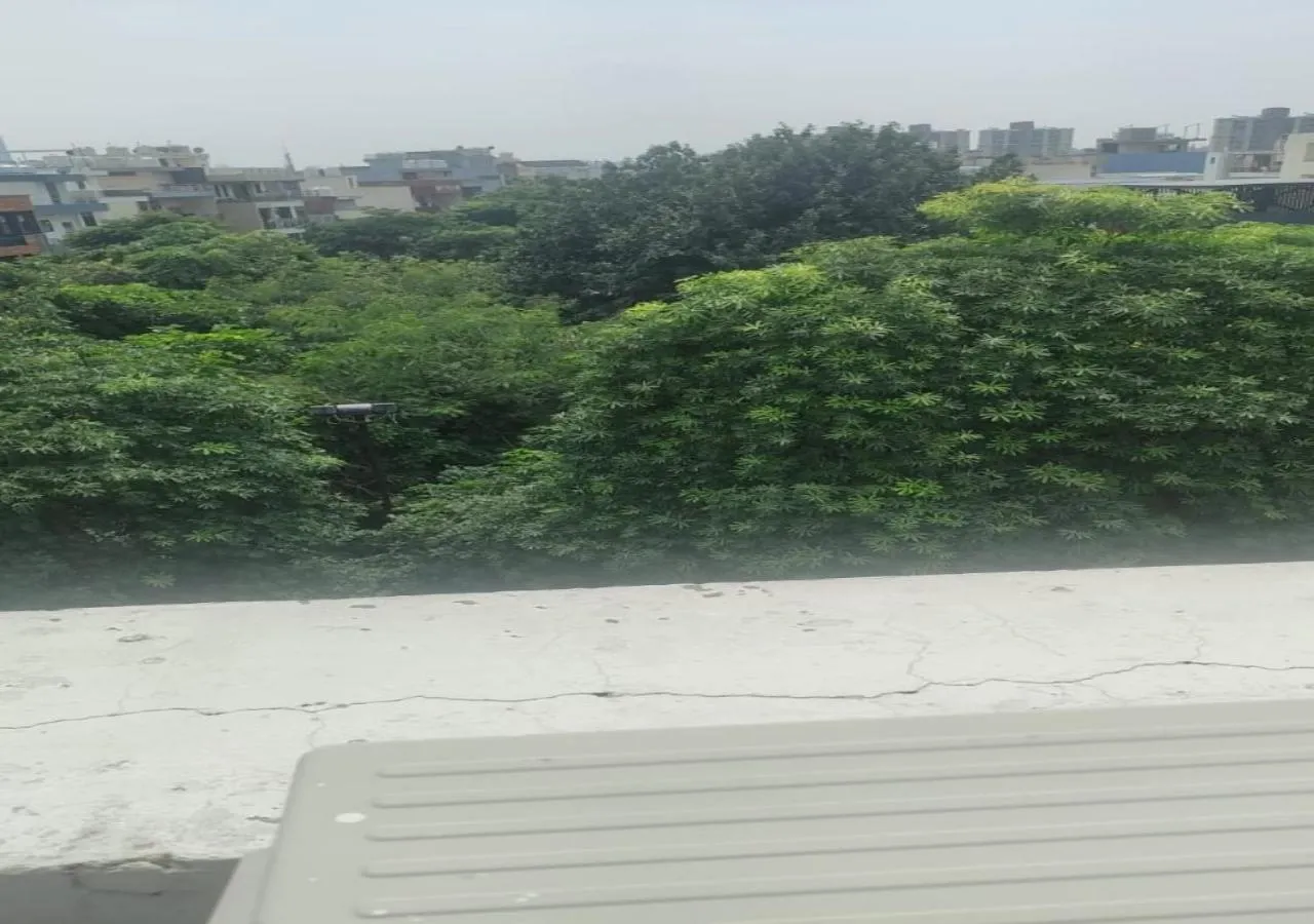 Natural landscape in Akshay home stay