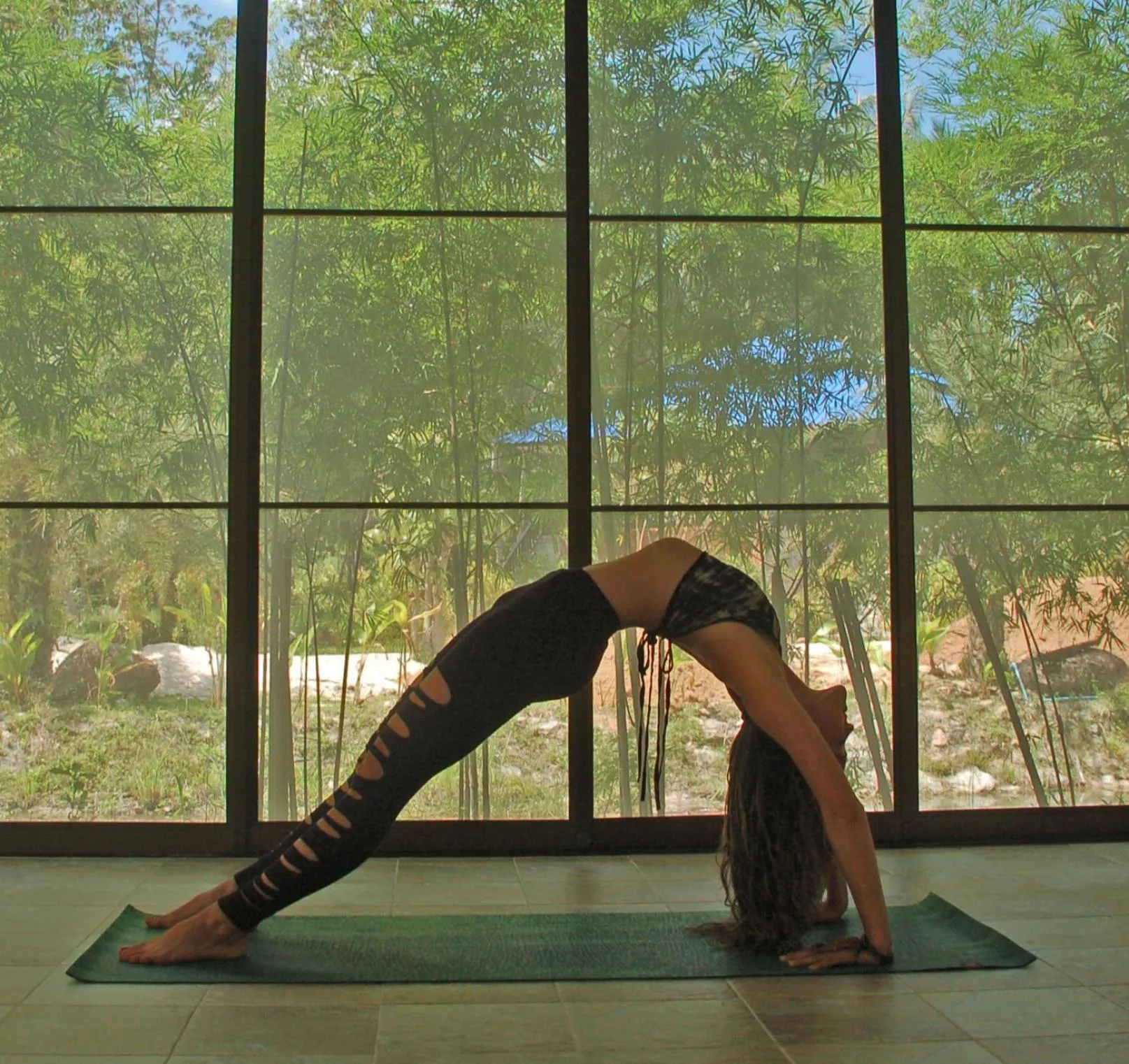 Activities in Wonderland Healing Center