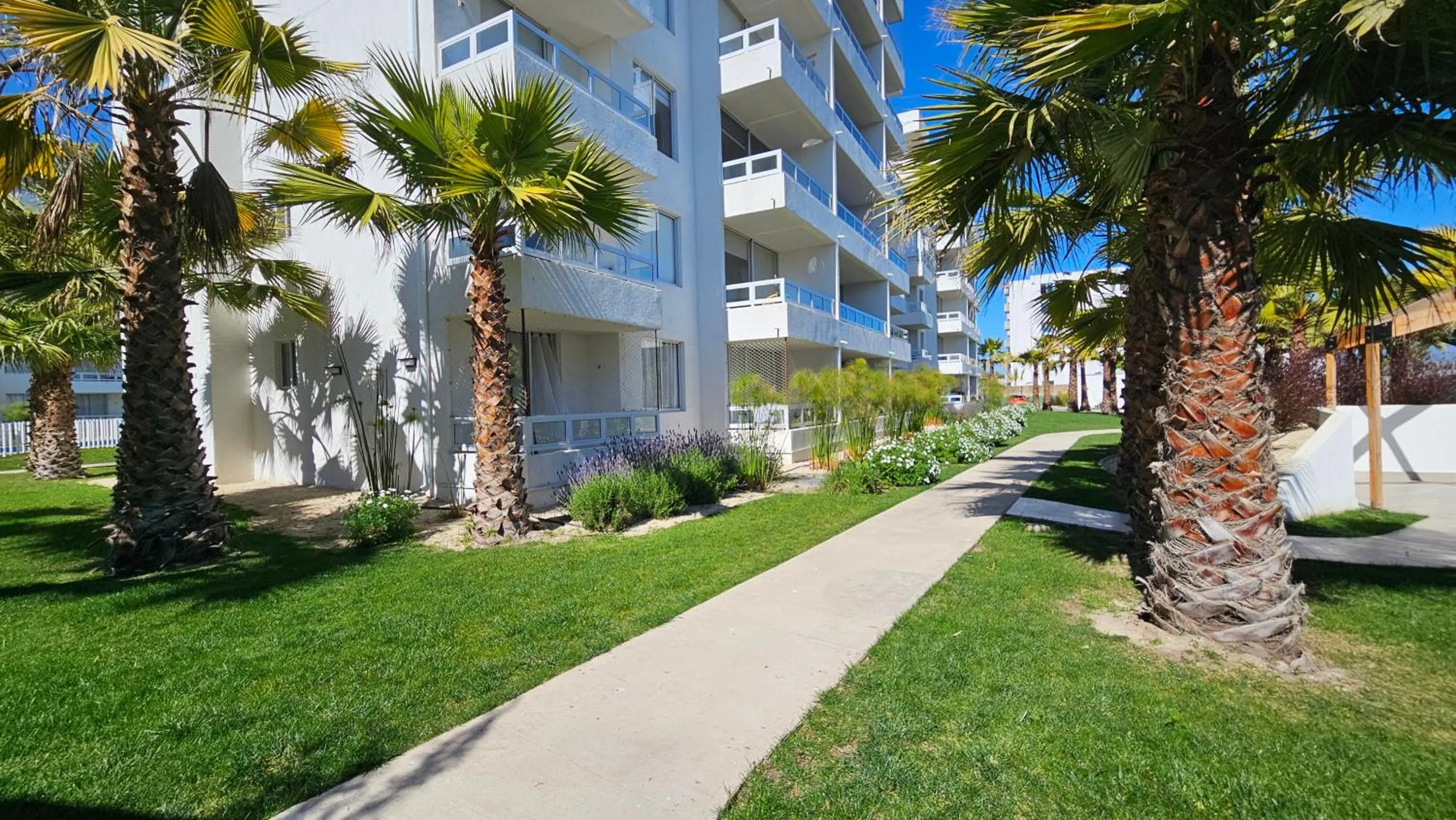 Garden in Oceana Suites Distrito Verde