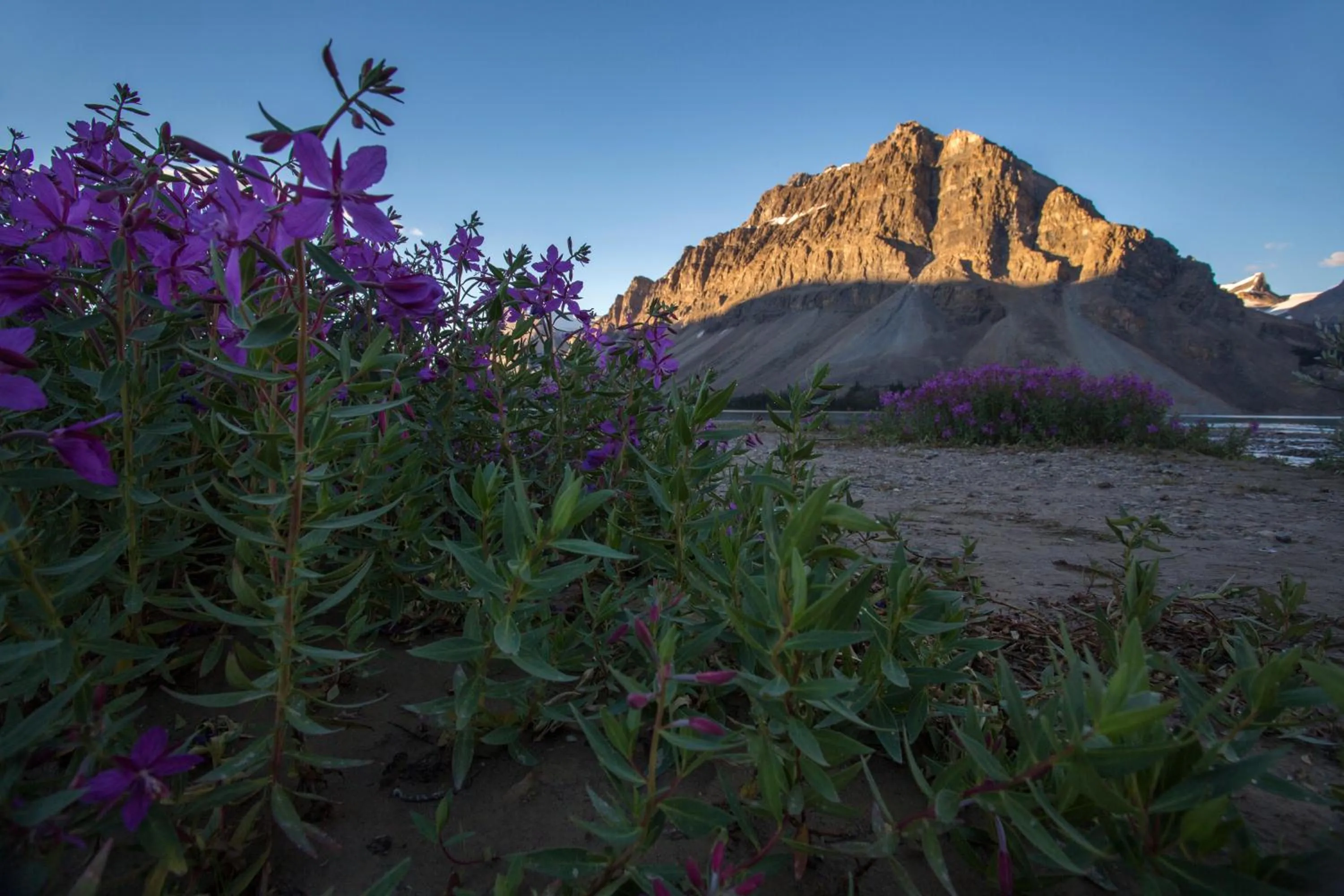 Nearby landmark in The Lodge at Bow Lake
