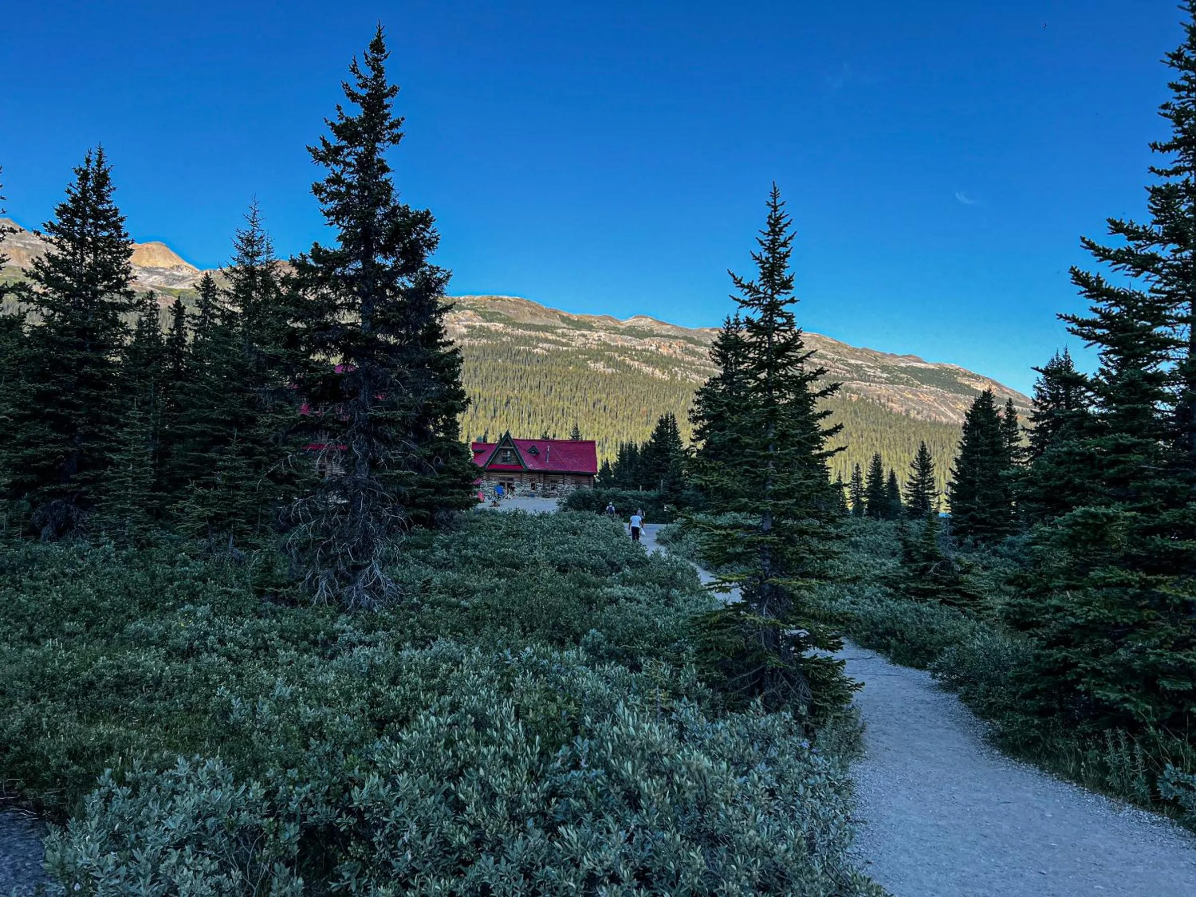 Property building in The Lodge at Bow Lake