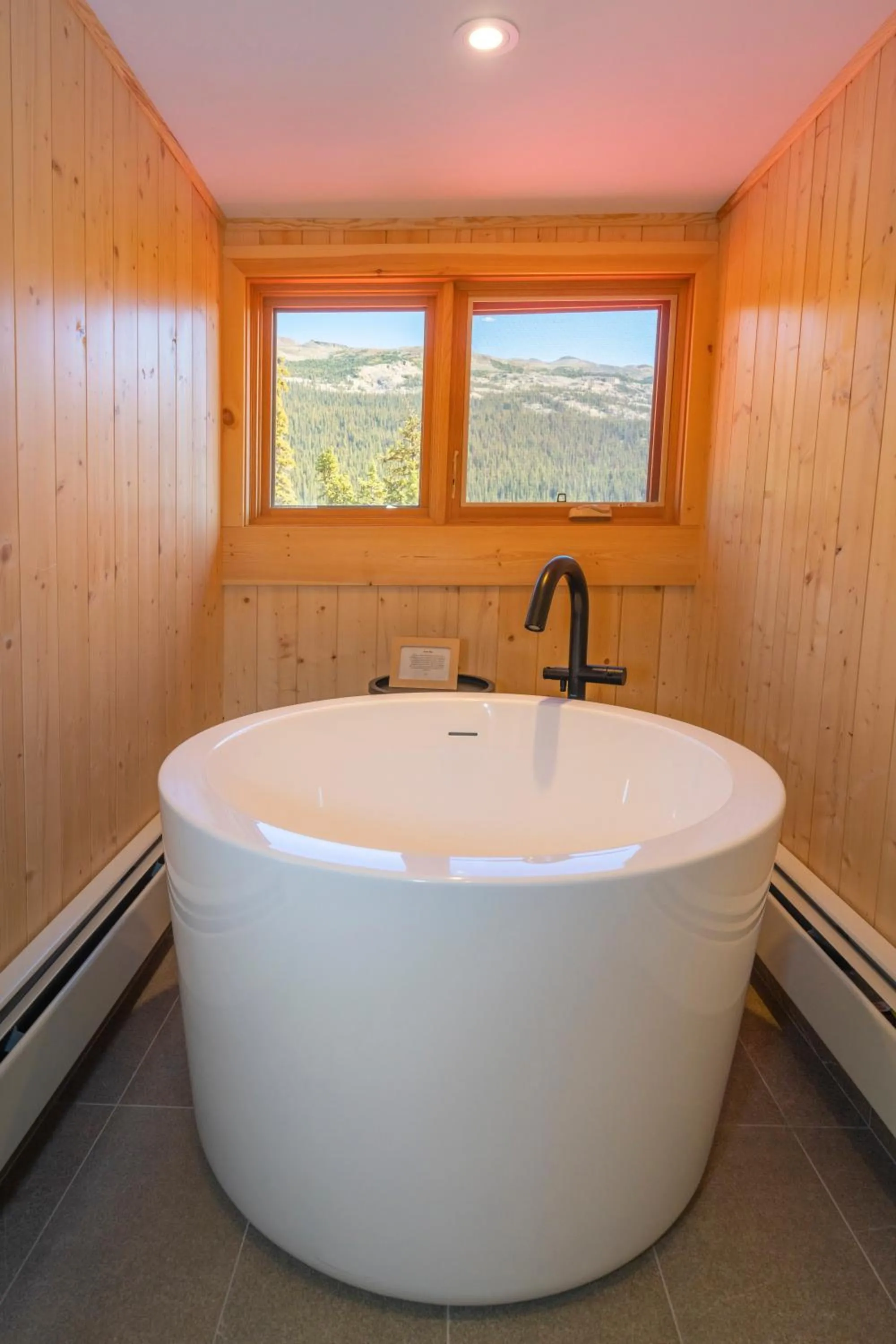 View (from property/room) in The Lodge at Bow Lake