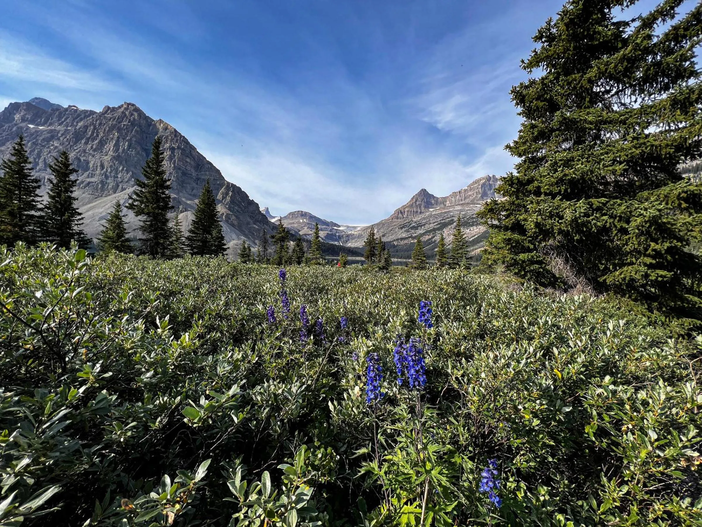 Nearby landmark in The Lodge at Bow Lake