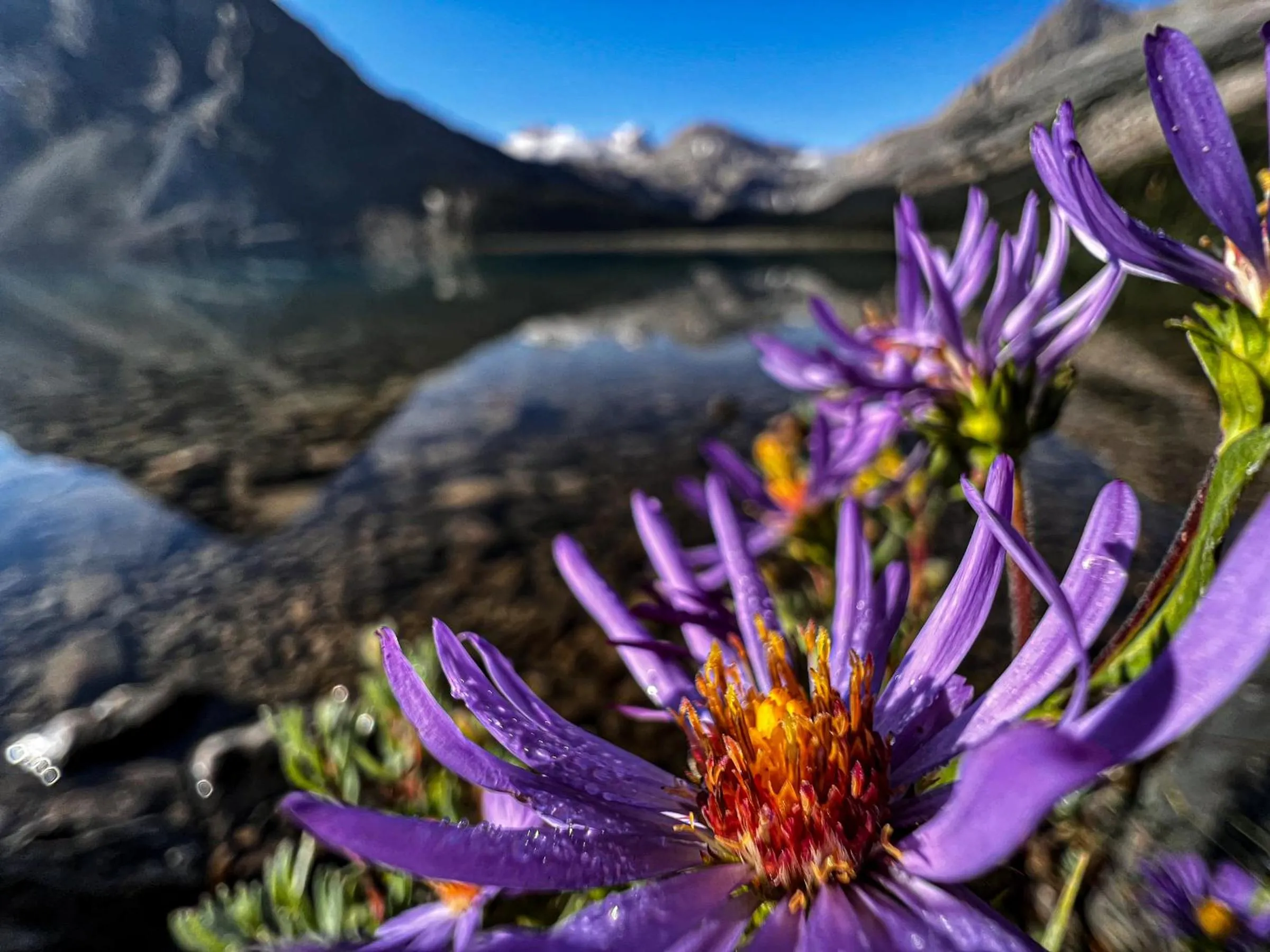 Nearby landmark in The Lodge at Bow Lake