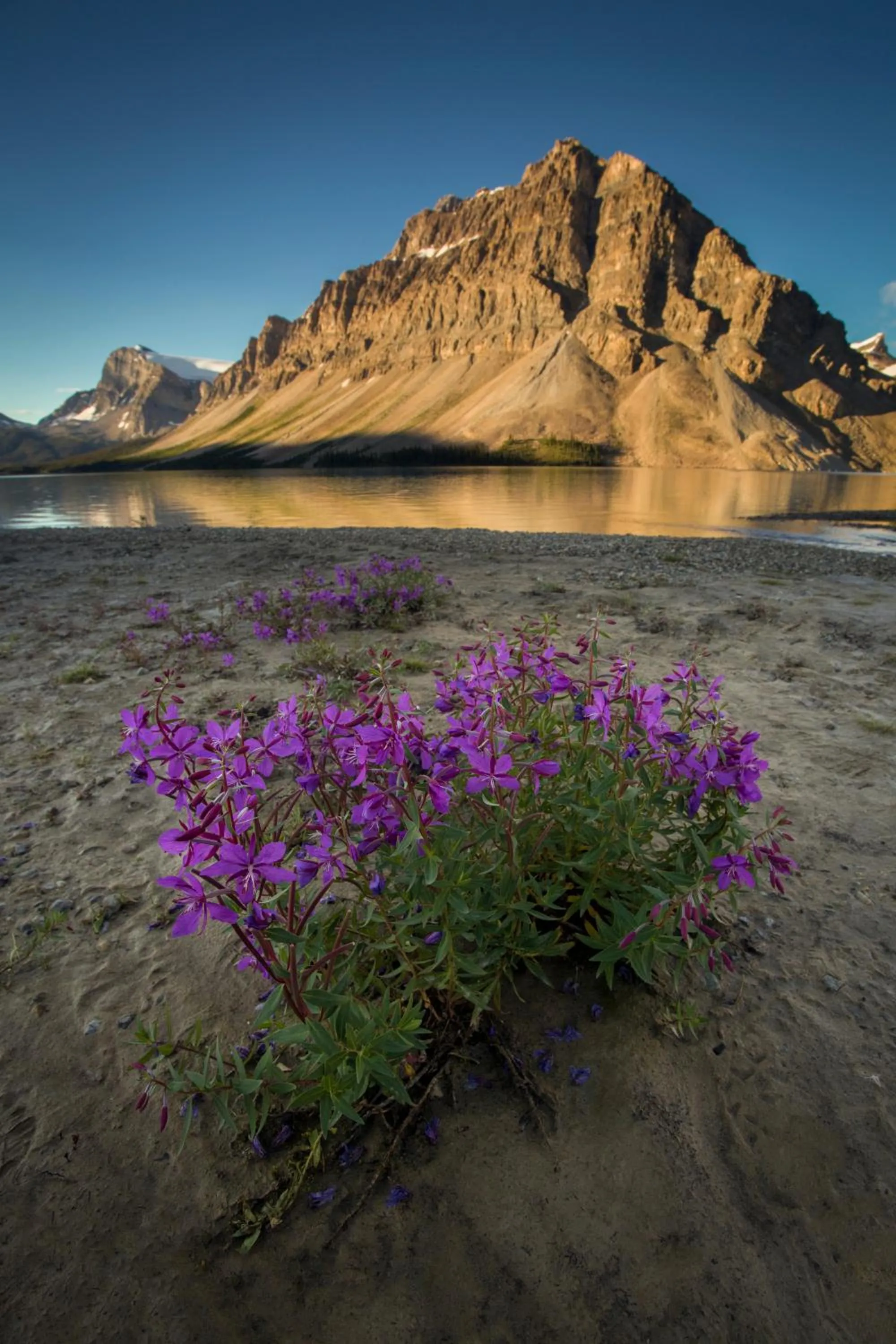 Nearby landmark in The Lodge at Bow Lake