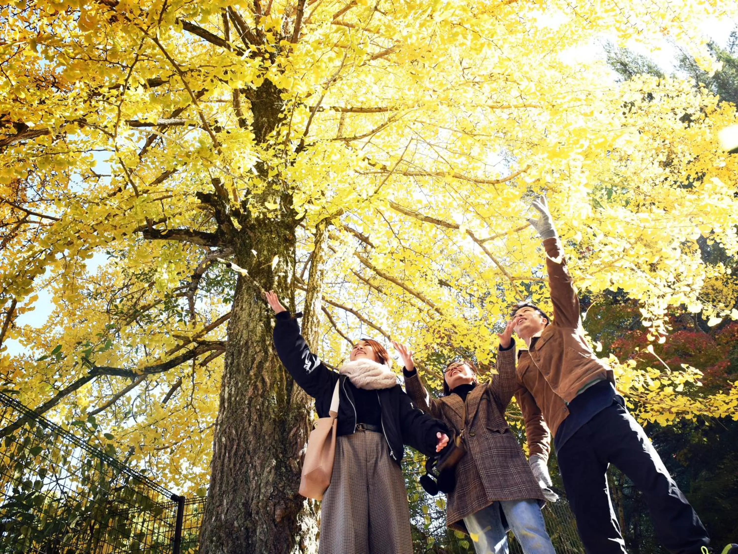 Nearby landmark in Miyajima Morinoyado