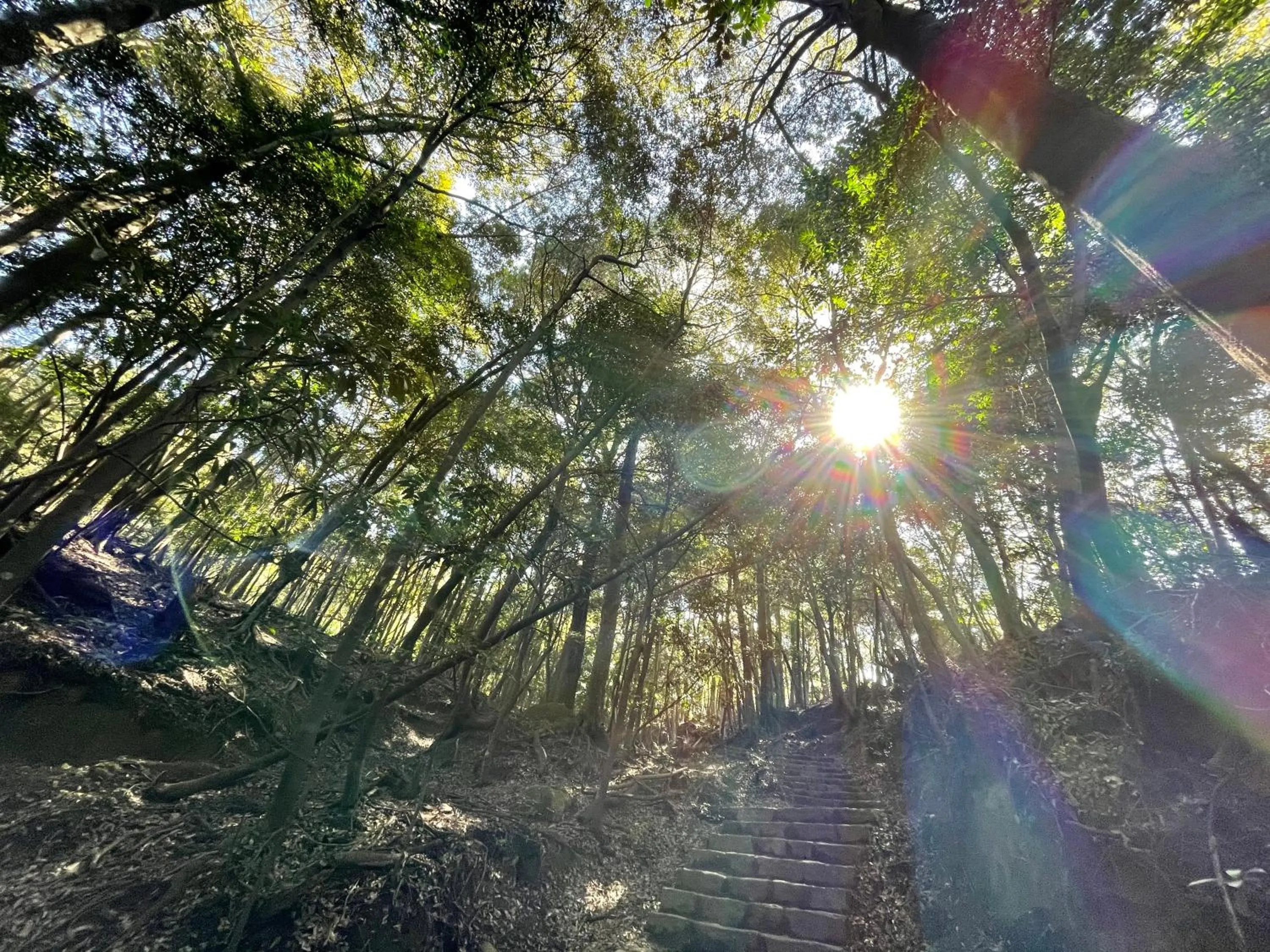 Day in Miyajima Morinoyado