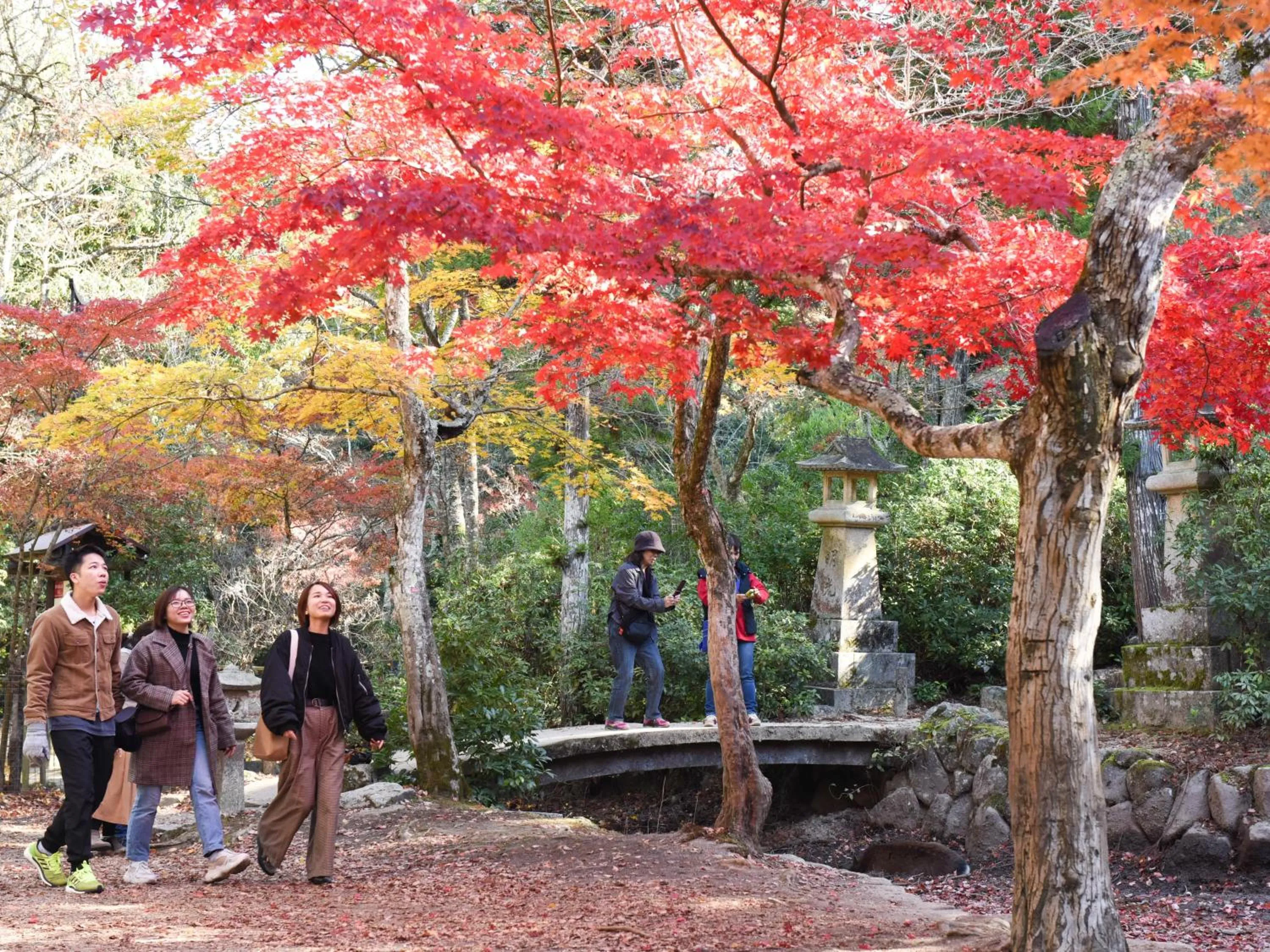 Nearby landmark in Miyajima Morinoyado