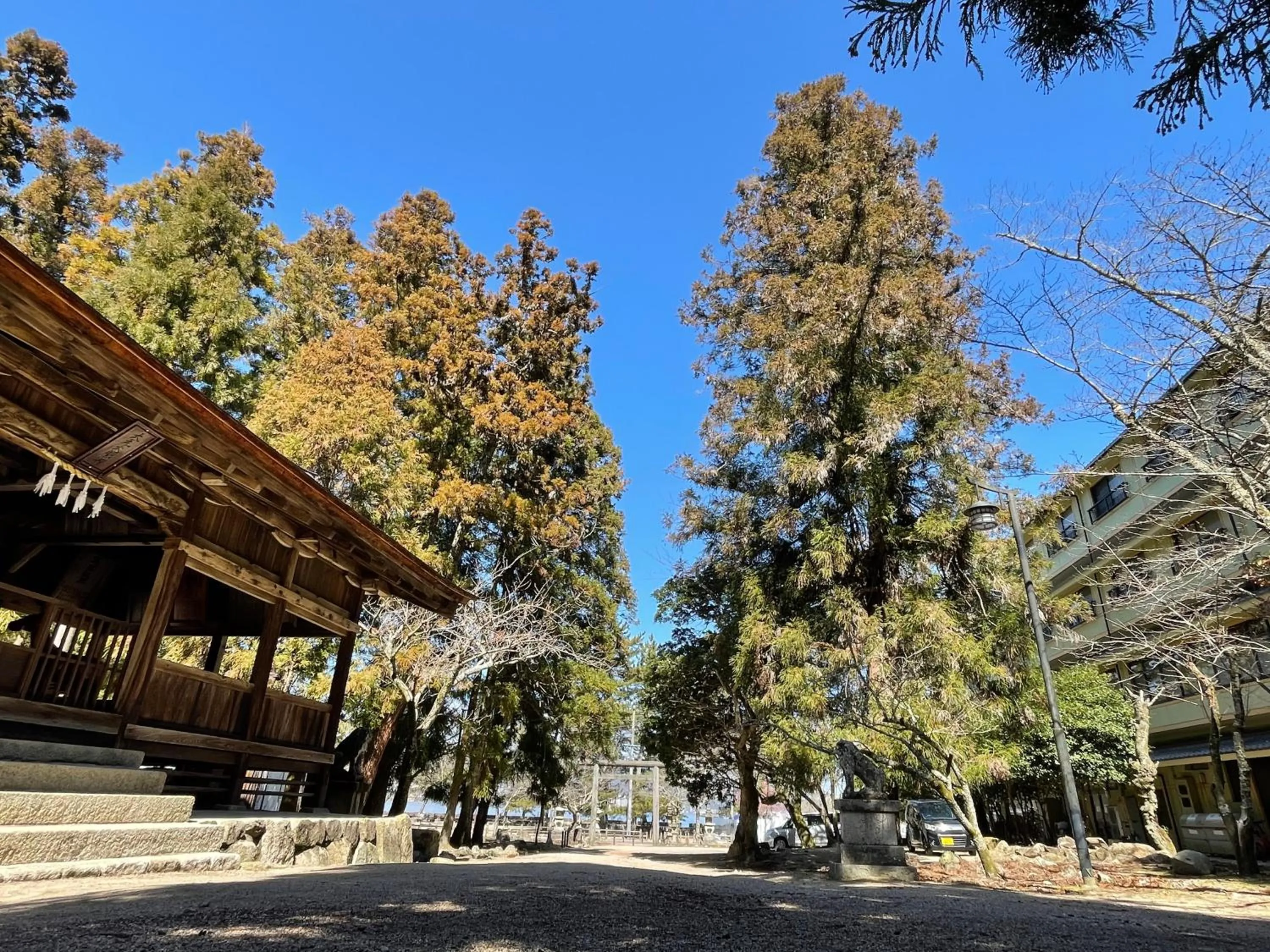 Day in Miyajima Morinoyado