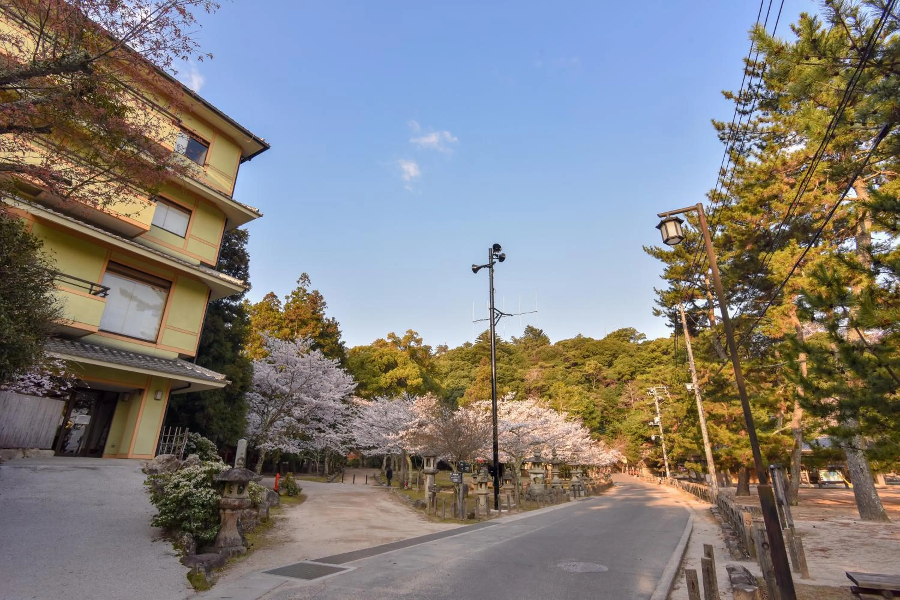 Neighbourhood in Miyajima Morinoyado
