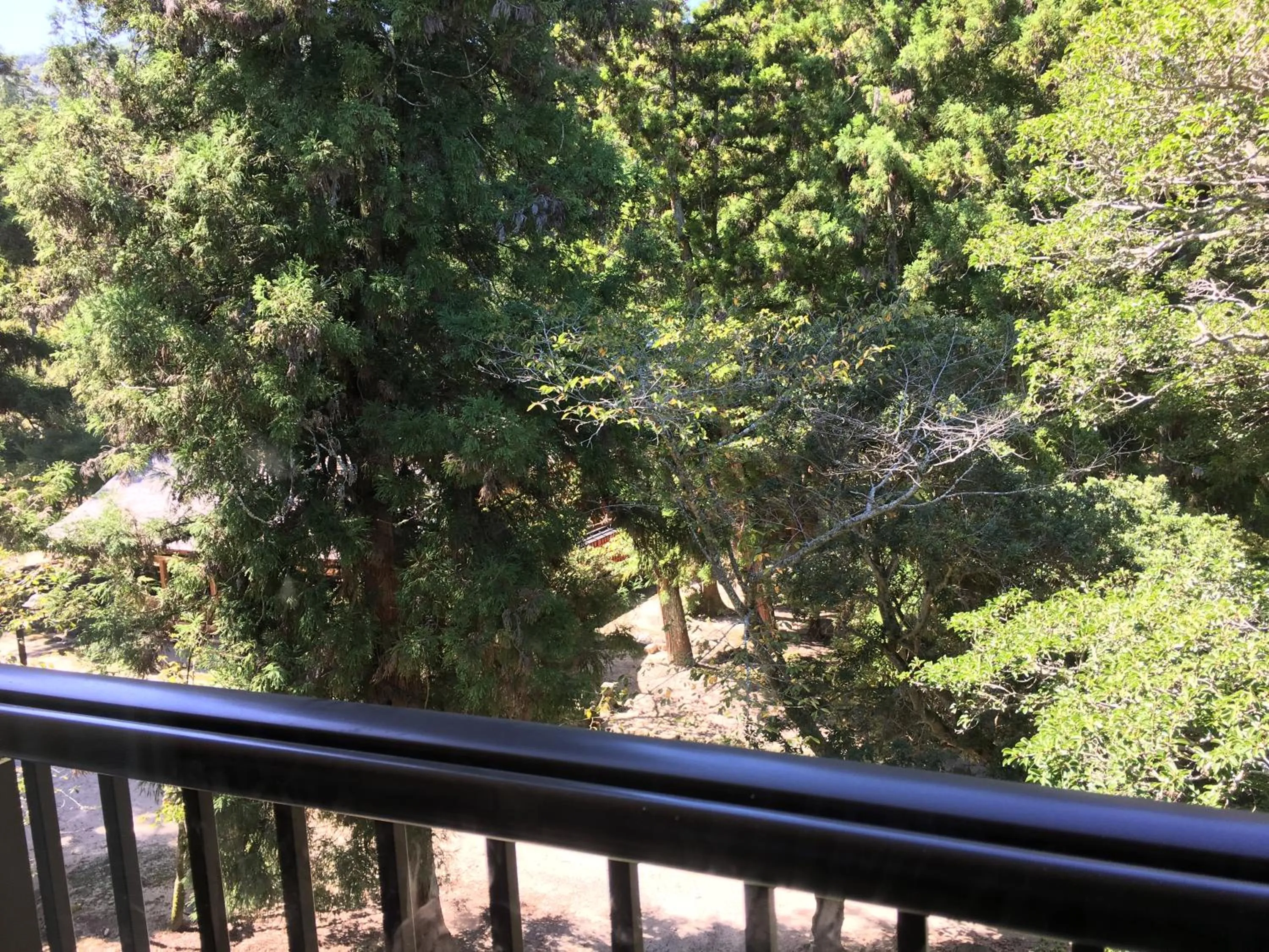 Garden view in Miyajima Morinoyado