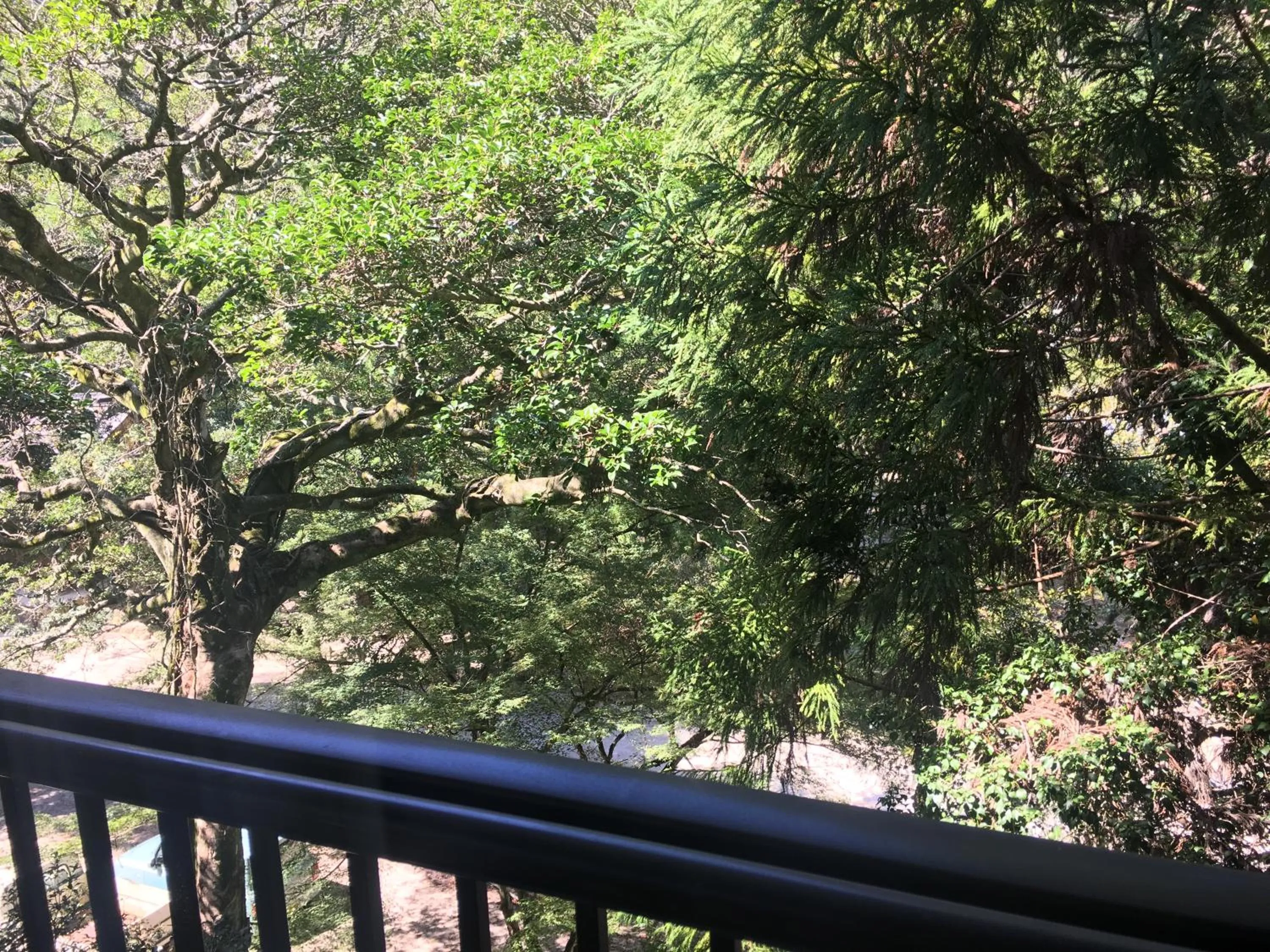 Garden view in Miyajima Morinoyado